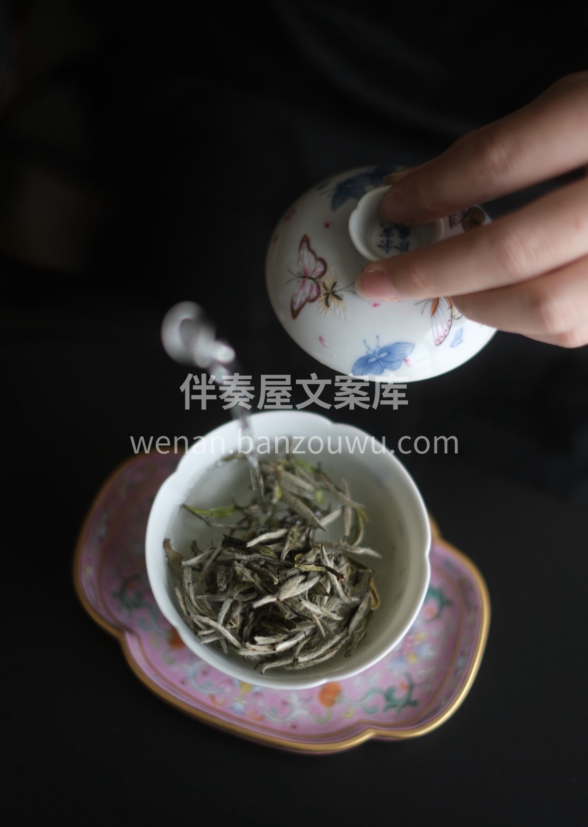 一杯白毫银针=天然养生茶🍃 ✅ 高氨基酸 配图2