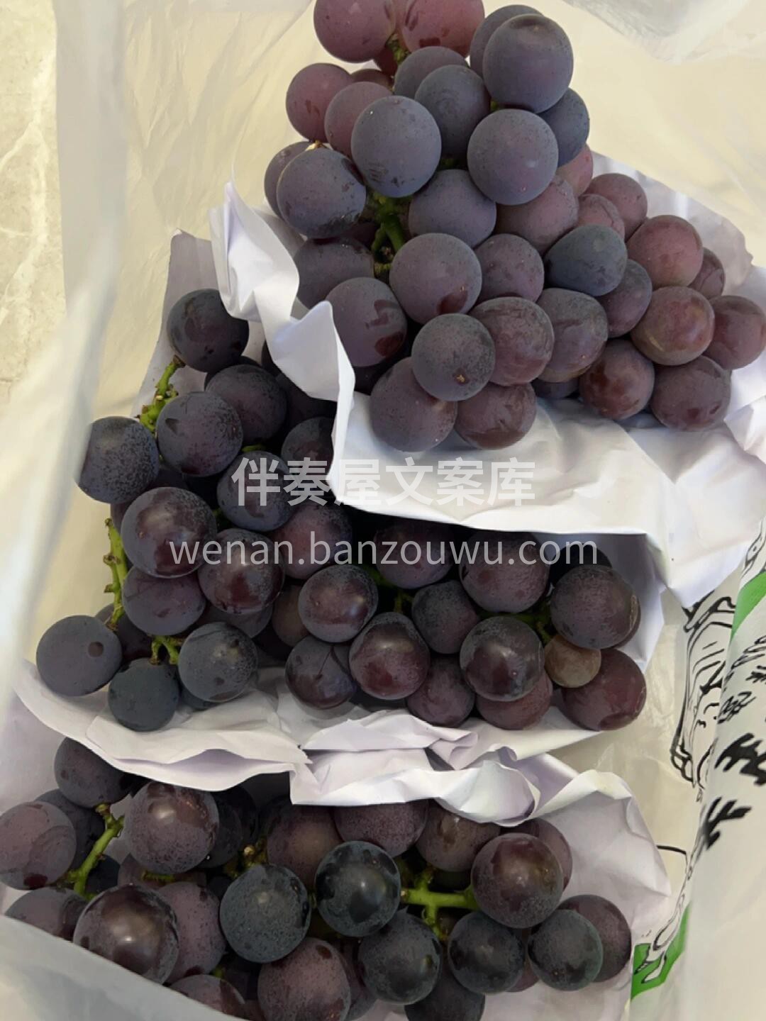 🌸季度销冠—甬优葡萄💚甬优葡萄🍇一口爆汁 配图1