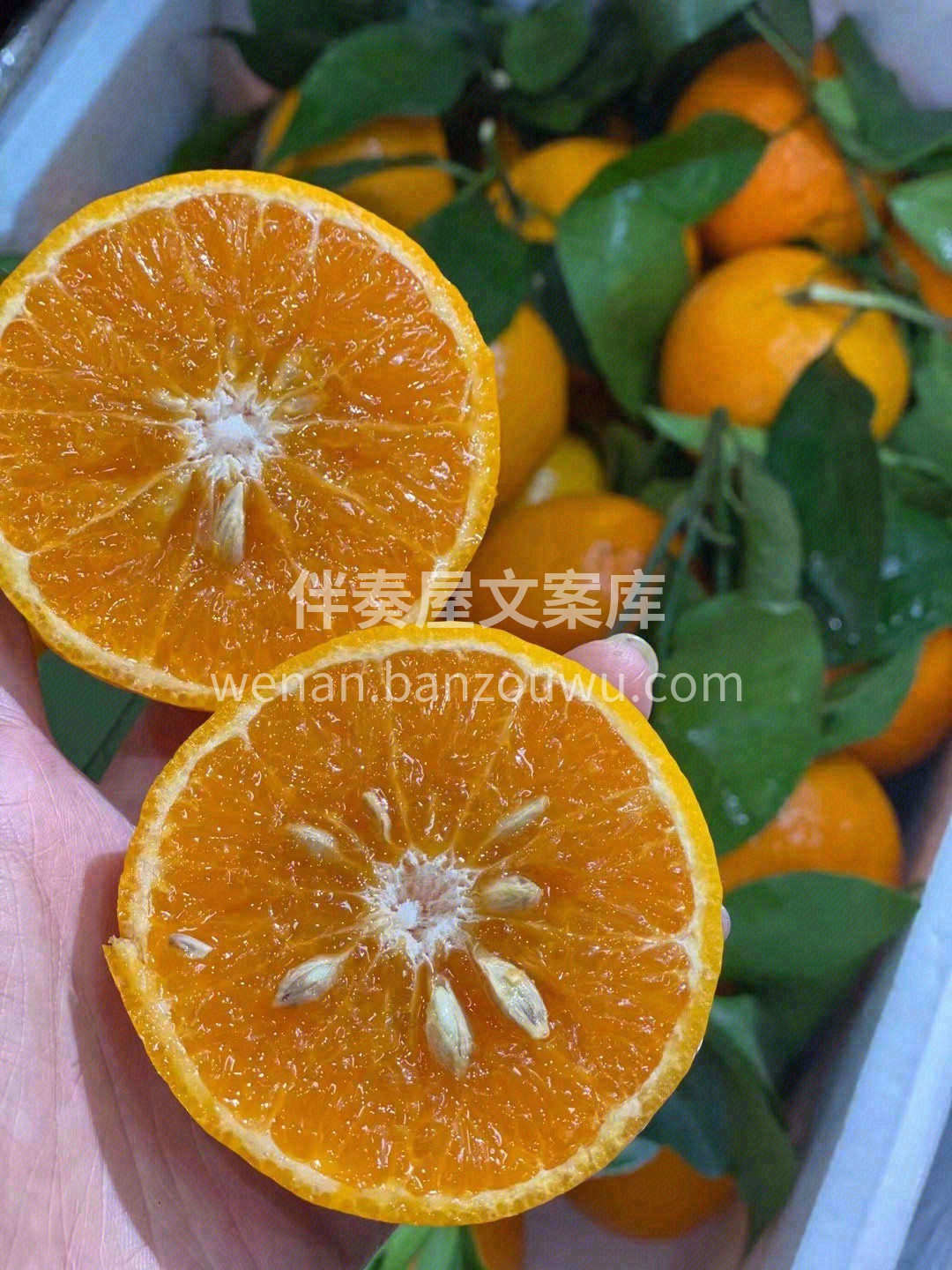 🌈「明日见」甜度超高，口感非常有层次 脆 配图2