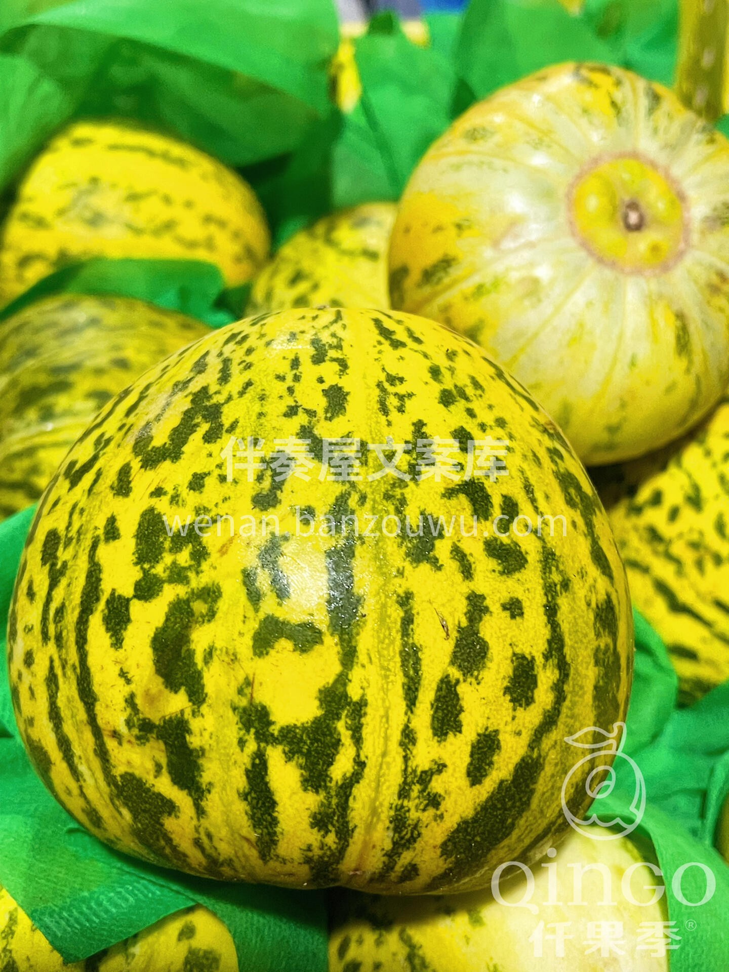 🍈八里香甜瓜😍上新🔥 “瓜如其名八里飘香 配图1