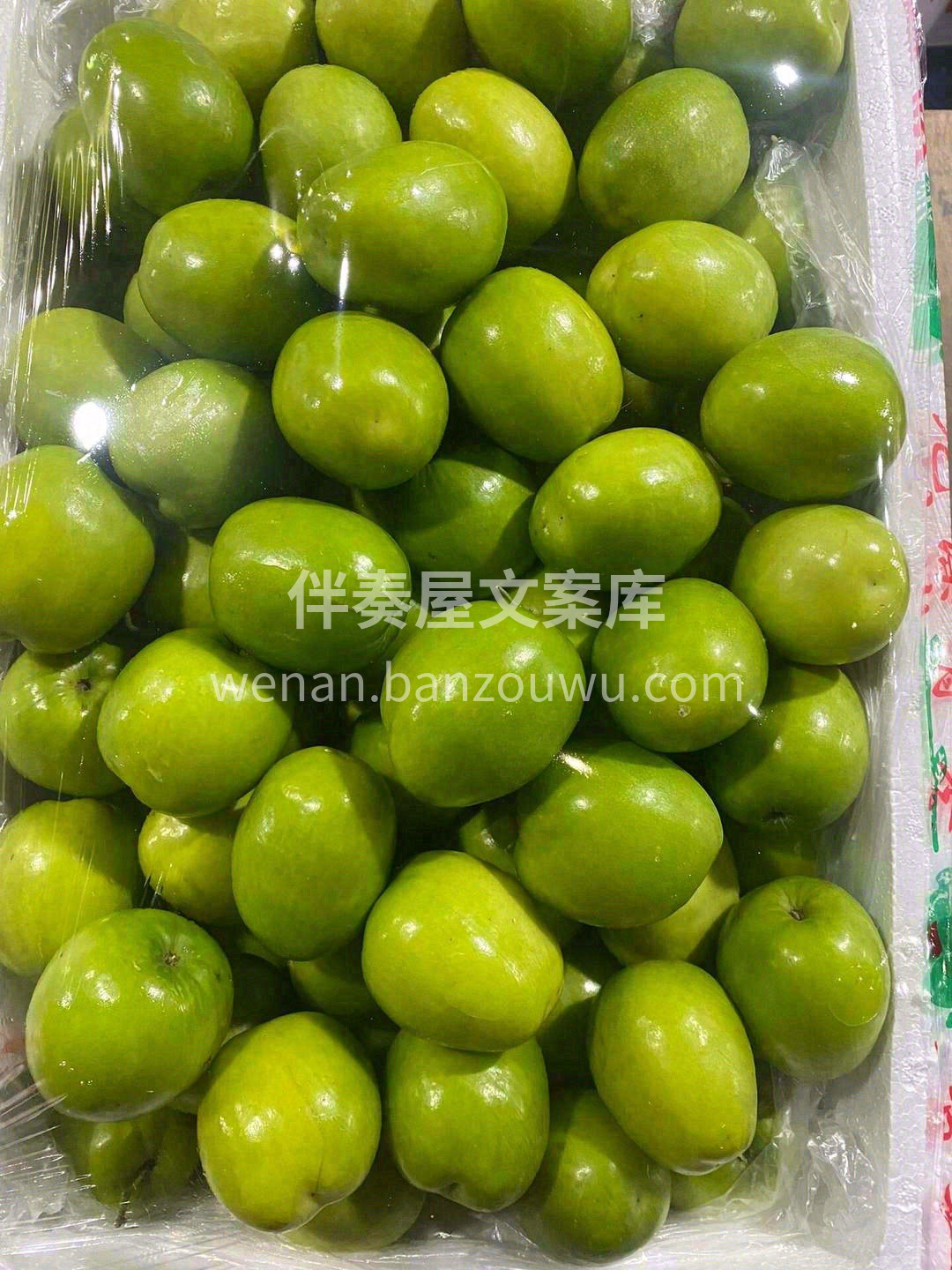 🍃青枣特别适合现在乍暖还寒的干燥天气 清 配图3