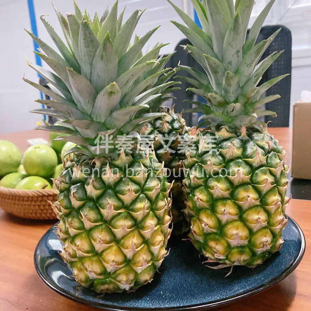 🍍🍍【海南火焰山·冬蜜凤梨】，如果凤梨有 配图3
