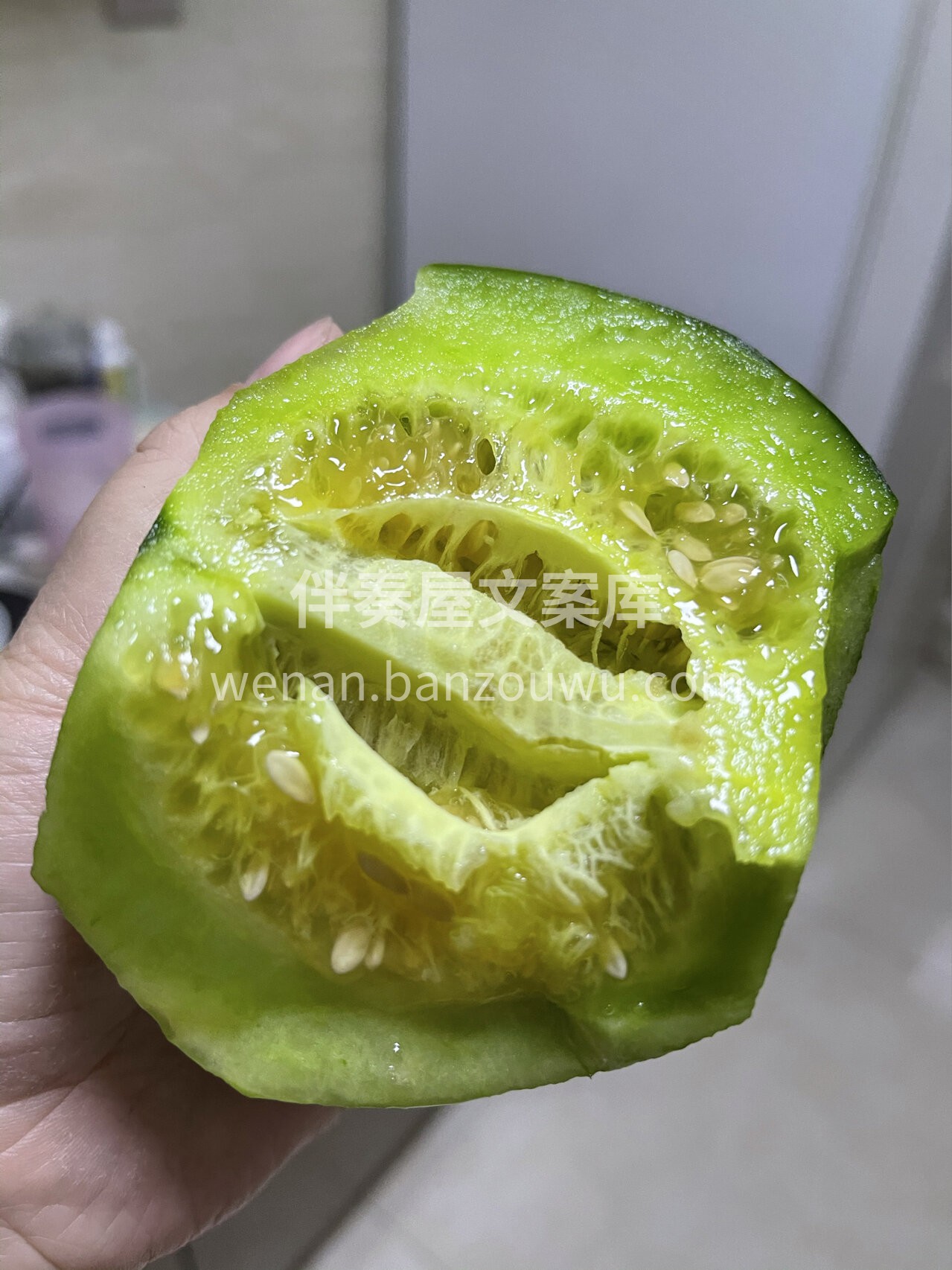 🙊咬着脆！吃着甜！甘甜多汁的绿宝甜瓜成为 配图3