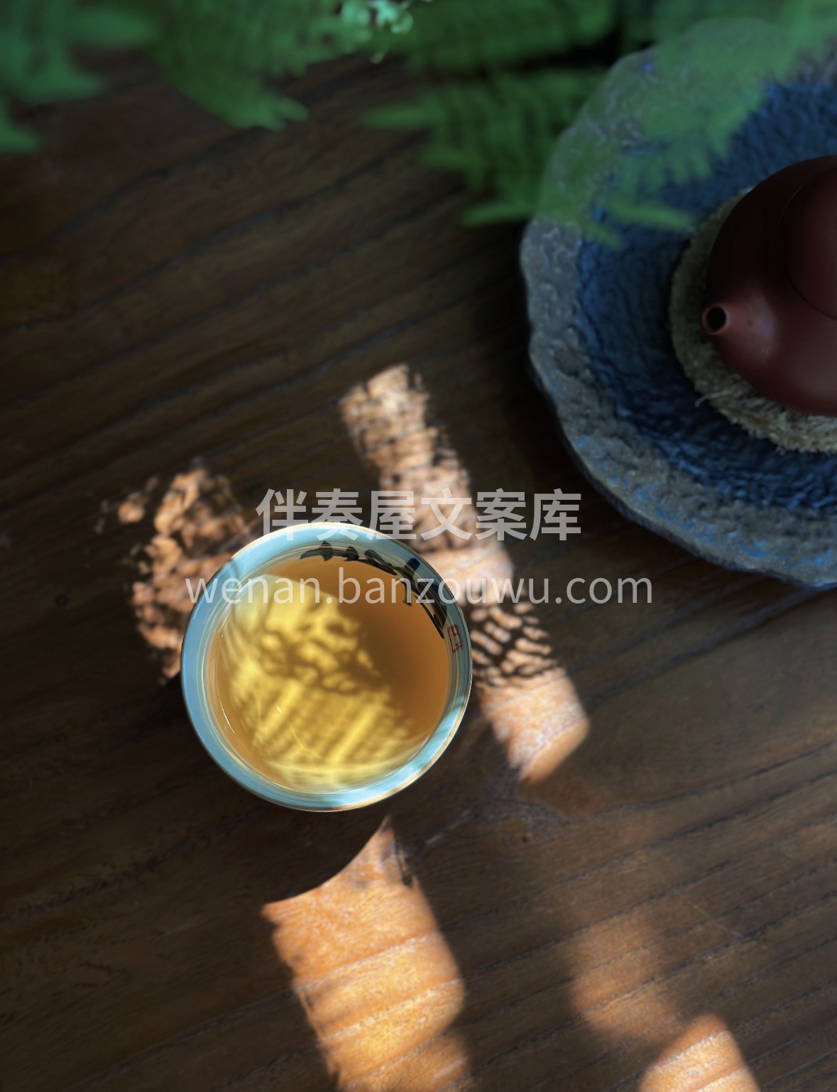 2026元旦献礼｜🎁 嫩黄芽臻选单芽🍵， 配图2