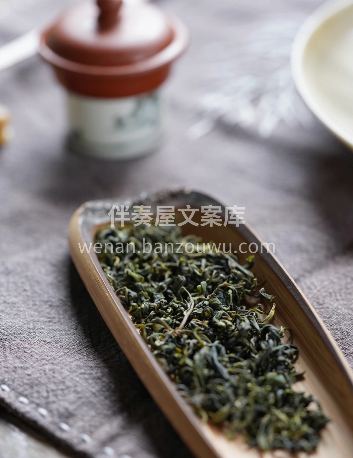 选日照核心产区春茶，每一片都带着北纬35 配图1