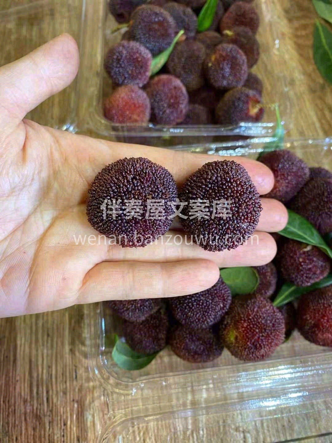 微深染紫的一颗颗，泡过盐水，丢进嘴里👄👄 配图1