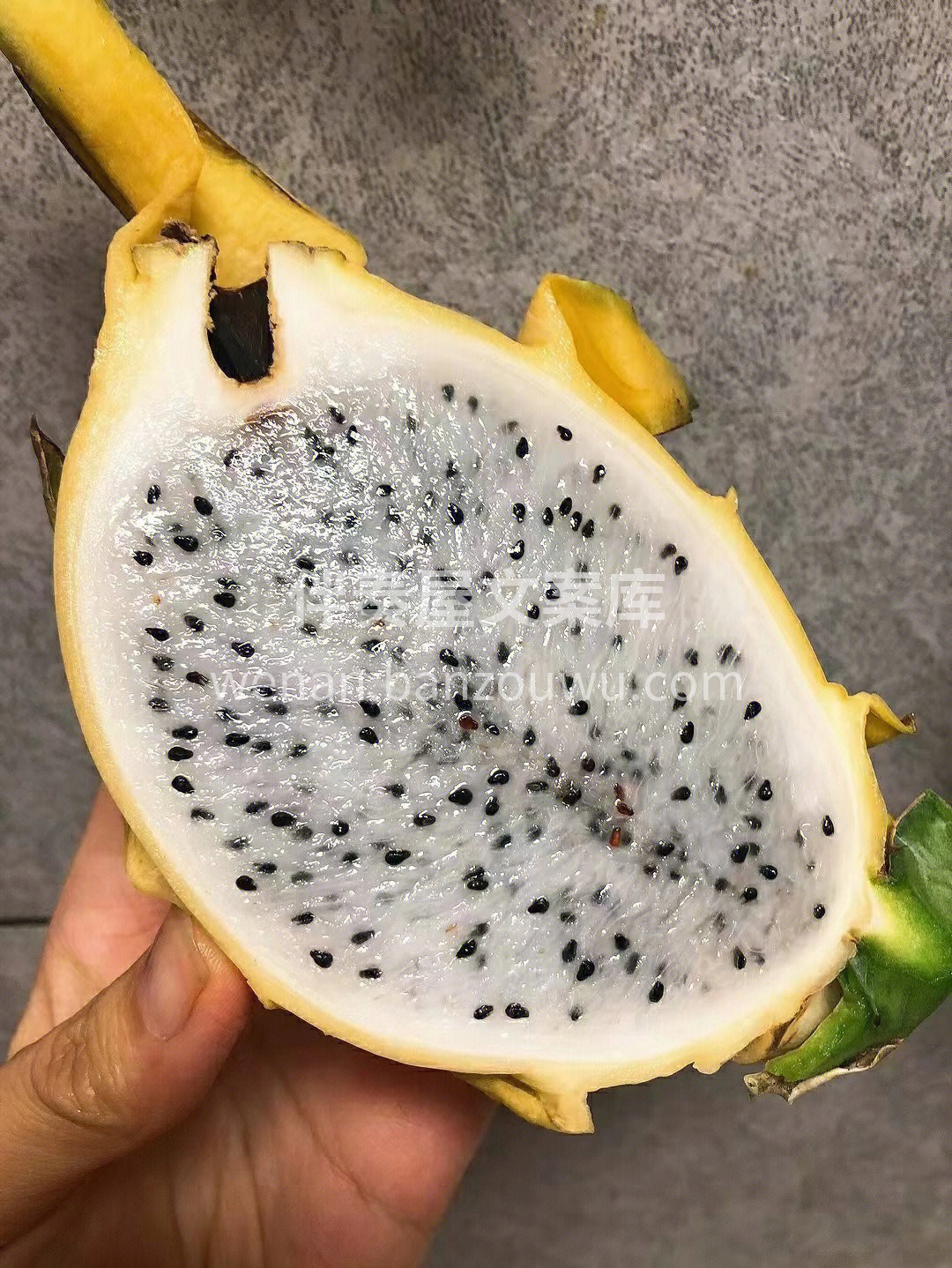 它不似红果那般热烈，一袭黄衣，优雅而低调 配图1