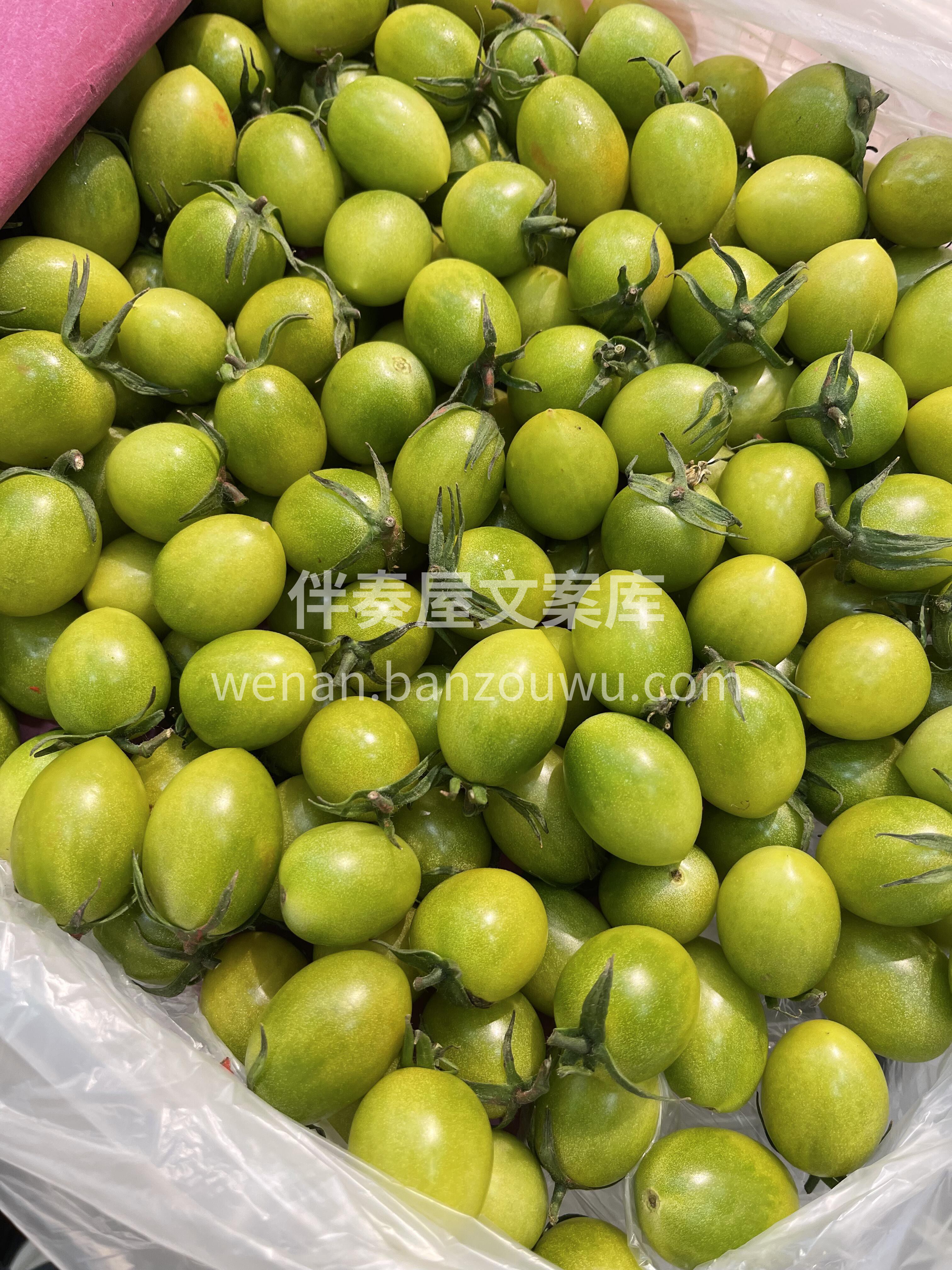 上新🆕青口蜜番茄🍅意外好吃🤔 被它的外表 配图3