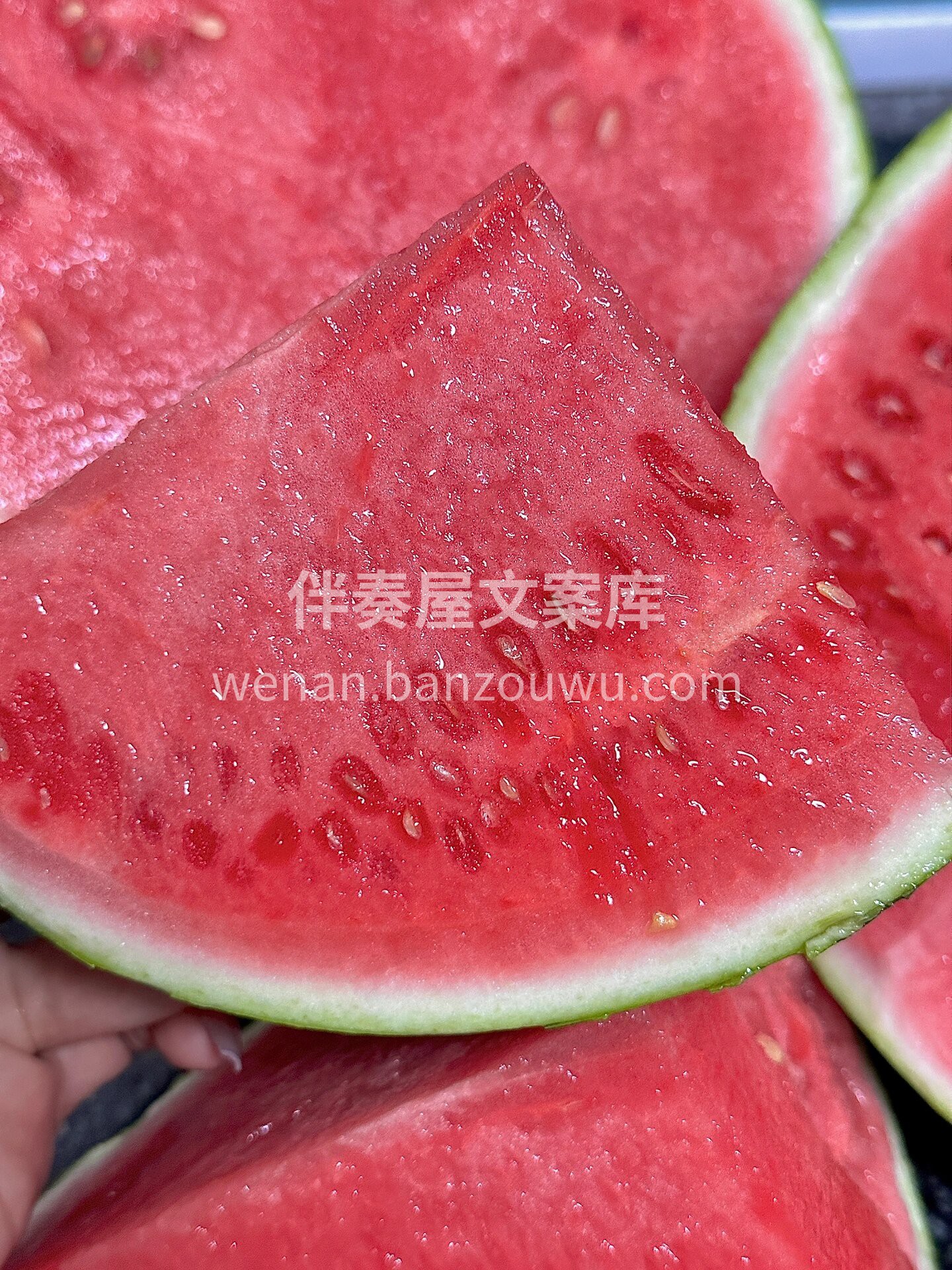 🌸夏日吃瓜季🍉 🍉 🍉 无西瓜 不夏天☀ 配图2