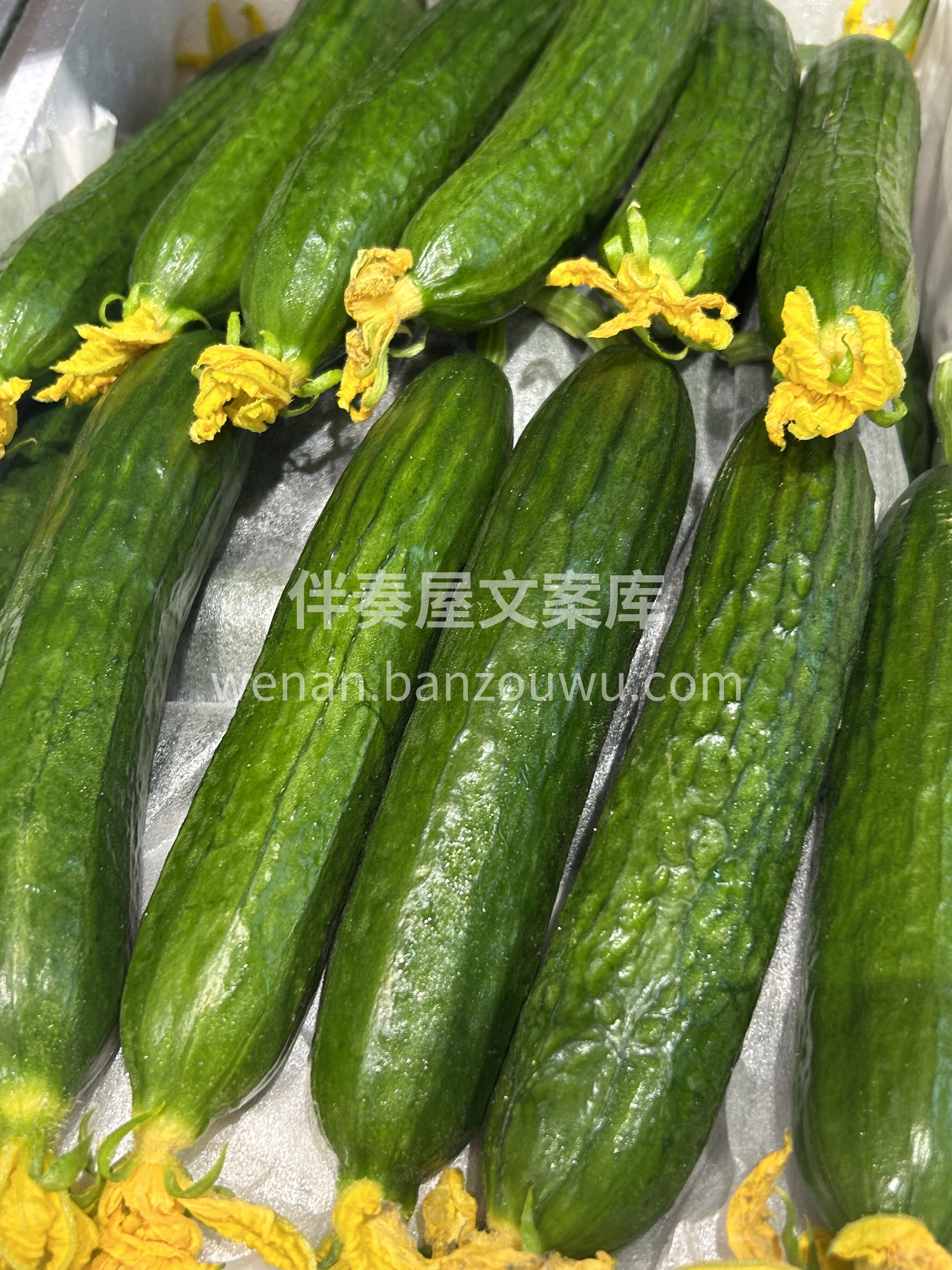 💚即食水果黄瓜，新鲜嘎嘣脆😁 野炊必备小 配图1