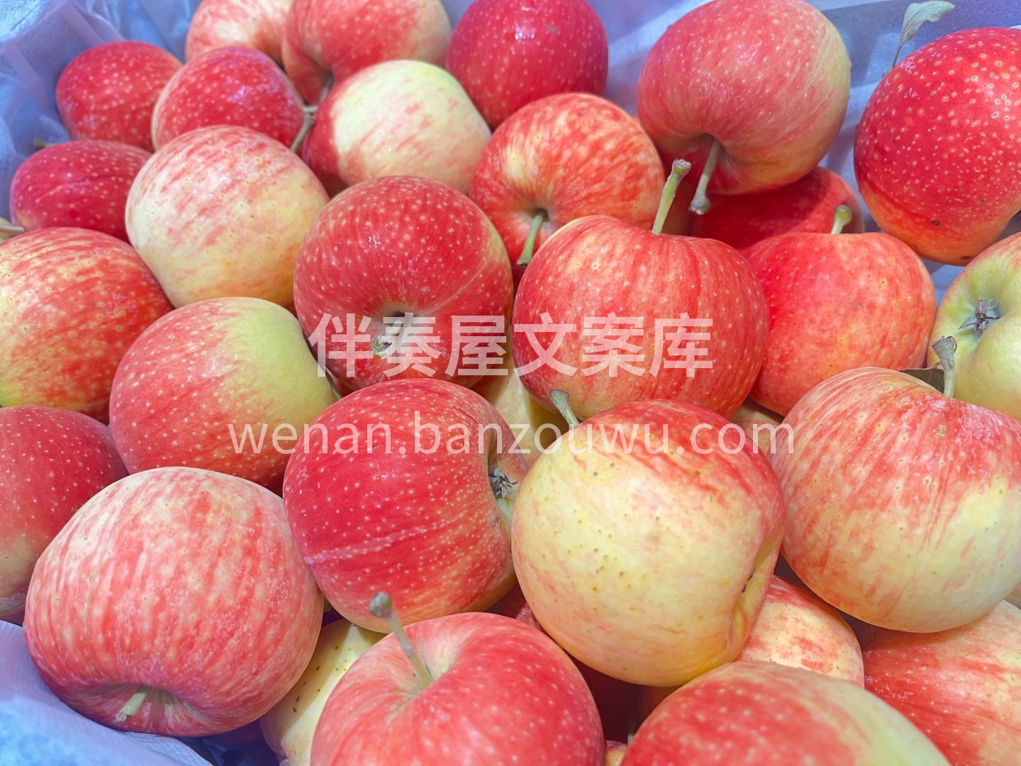 🍎【春天的红润小甜果～嘎啦苹果来咯】 果 配图2
