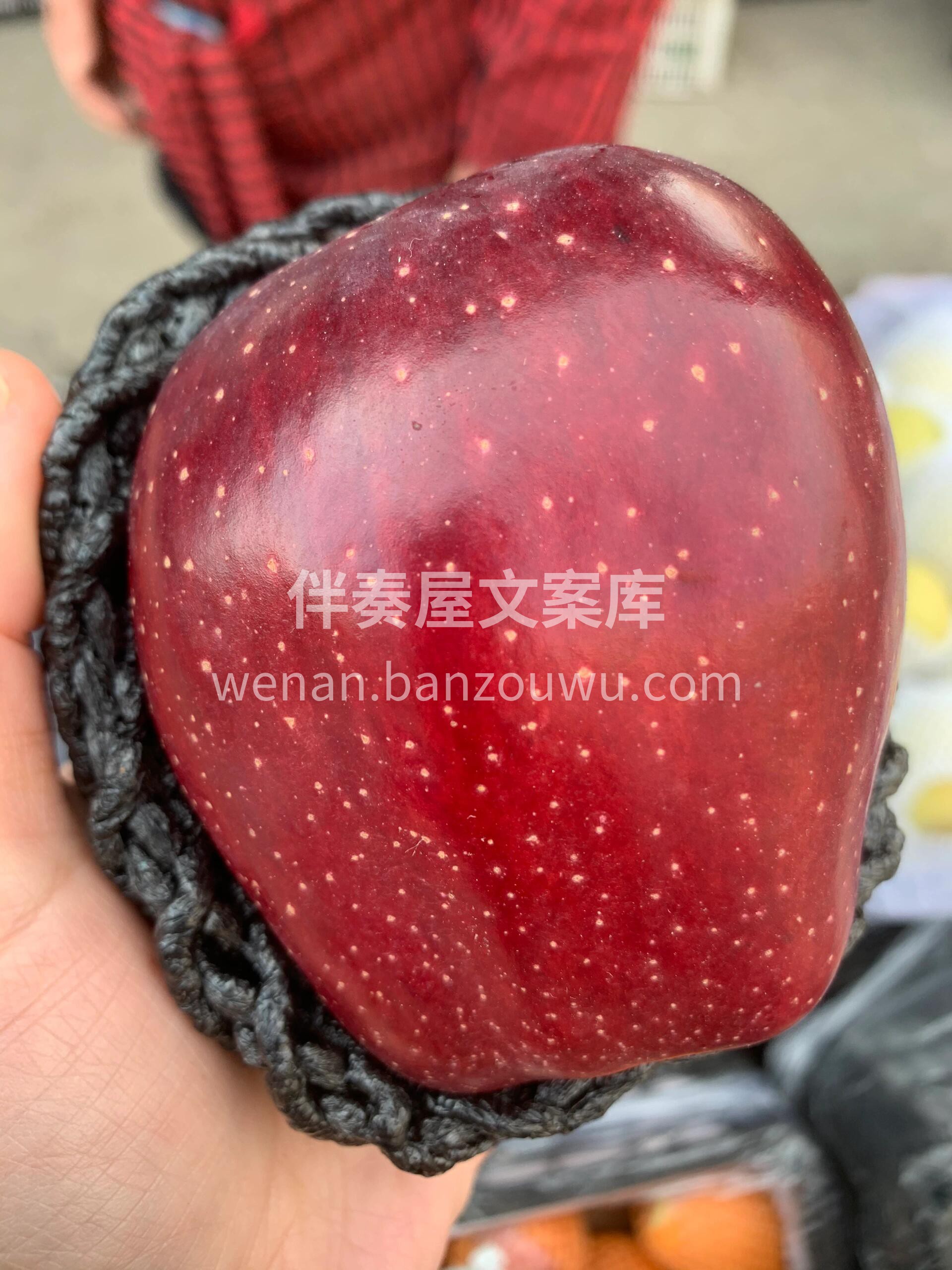 吃了会上瘾的一款苹果😍 【甘肃花牛苹果】 配图3