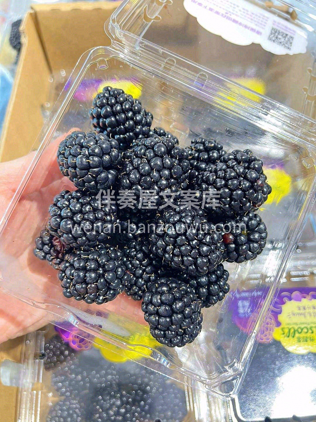 🍓诱人的黑树莓登场啦👏 甜润裹着微酸，颗 配图3