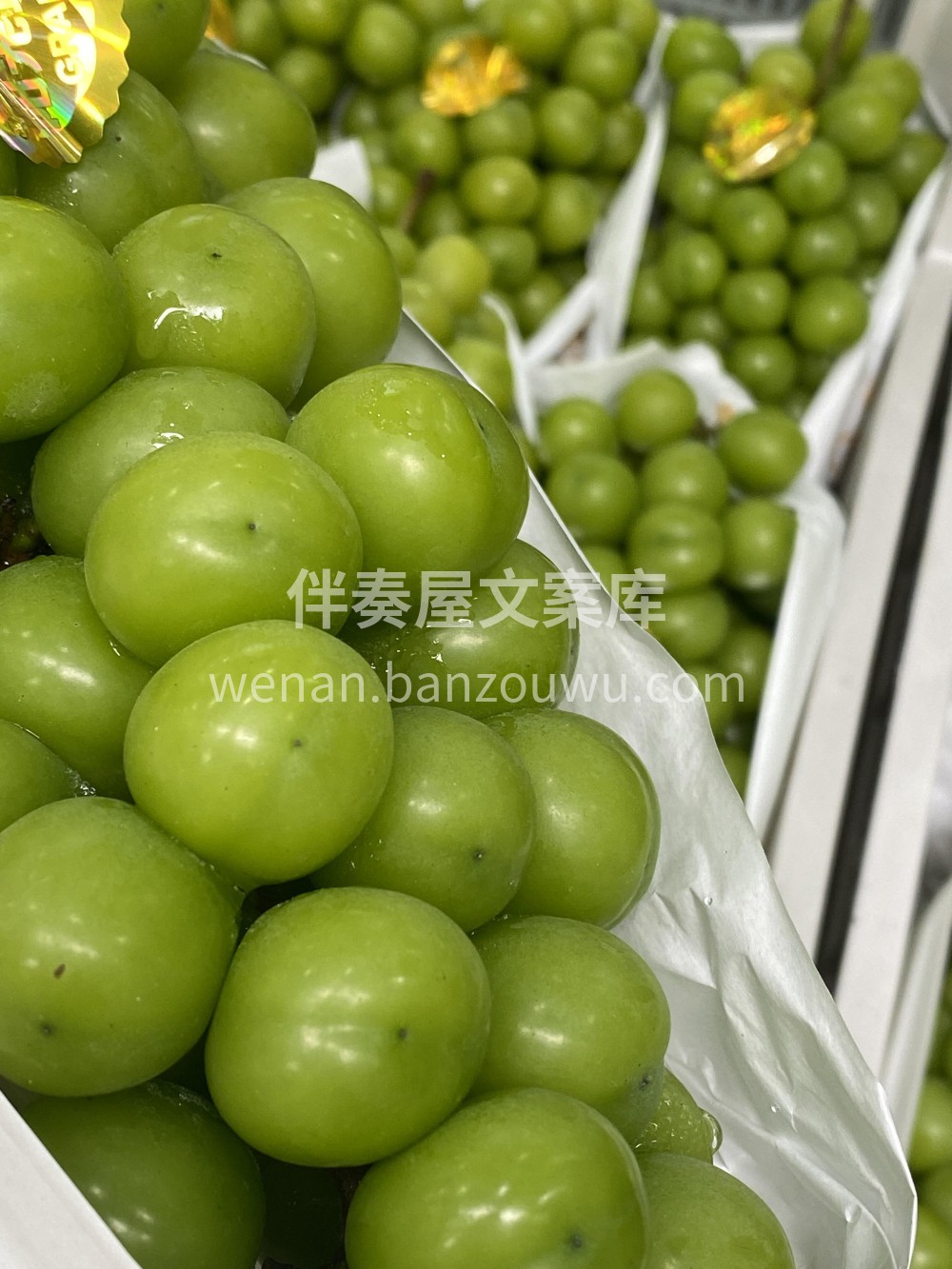 葡萄界白富美🫅🫅阳光玫瑰💚💚葡萄界的白富 配图2