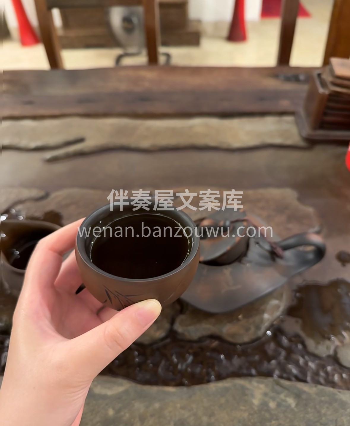 手掰一块安化茯砖，金花密布如星落。沸水冲 配图2