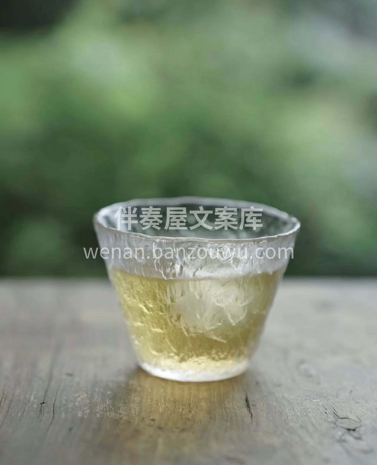 生长采摘萎凋！杀青 揉捻 晒青！体会一片 配图3