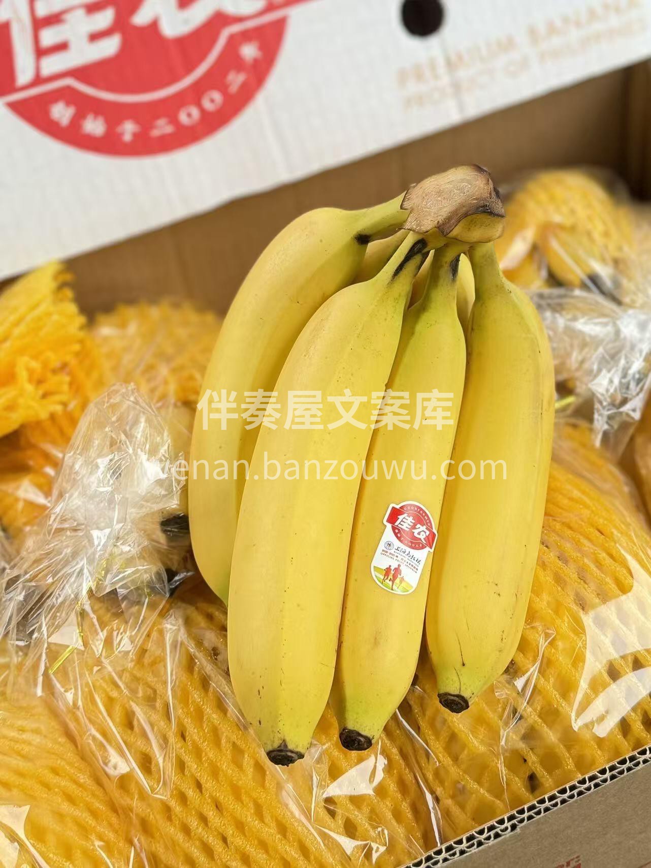 🍌 小芭蕉到货！🍌 个头小巧超可爱～一手 配图2
