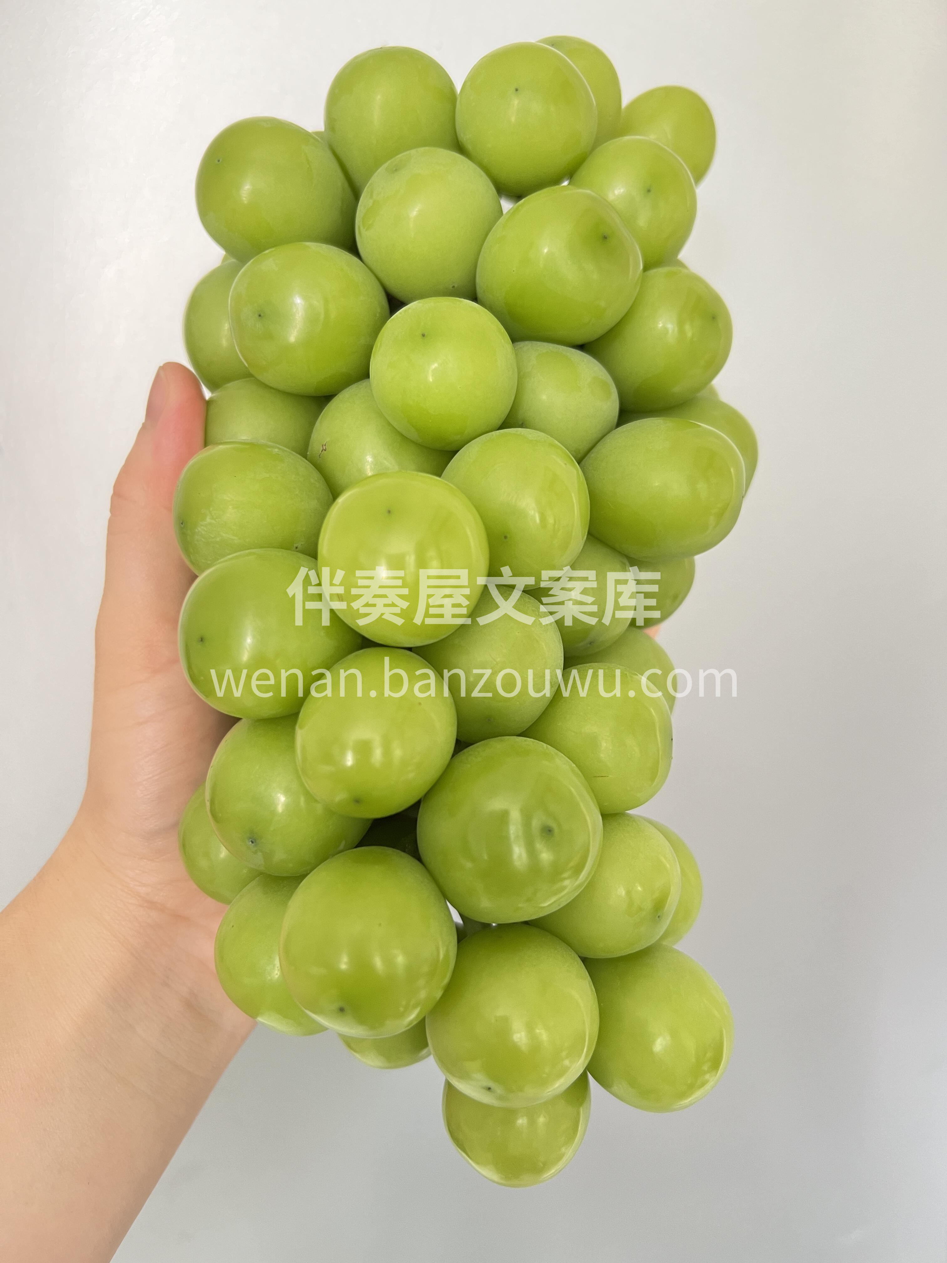 这个时节的晴王最甜✔️✔️ 正所谓：不吃 配图3
