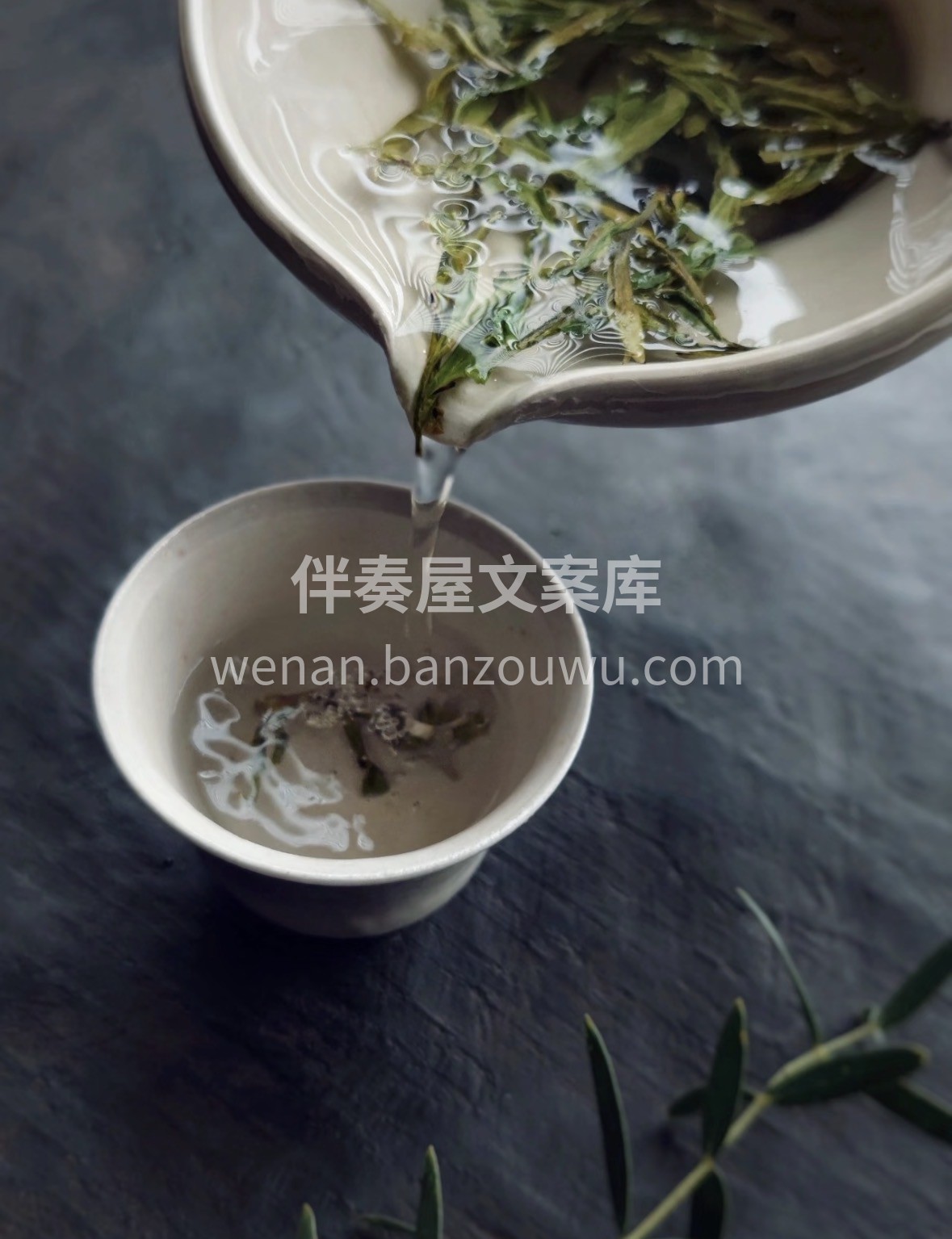 来自蒙顶山核心产区的蒙顶甘露，明前嫩芽揉 配图2
