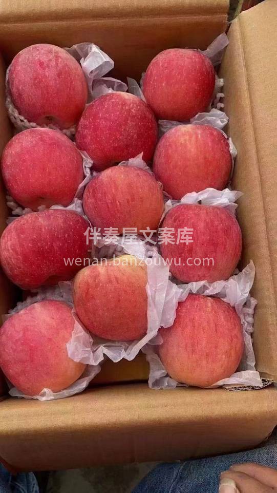 ——阿克苏冰糖心苹果🍎 不用寻寻觅觅，我 配图1
