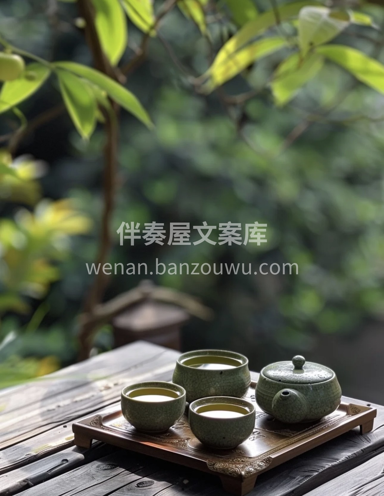 🍵一盏茶，一段时光🌙 💚品味茶香，感悟人 配图2