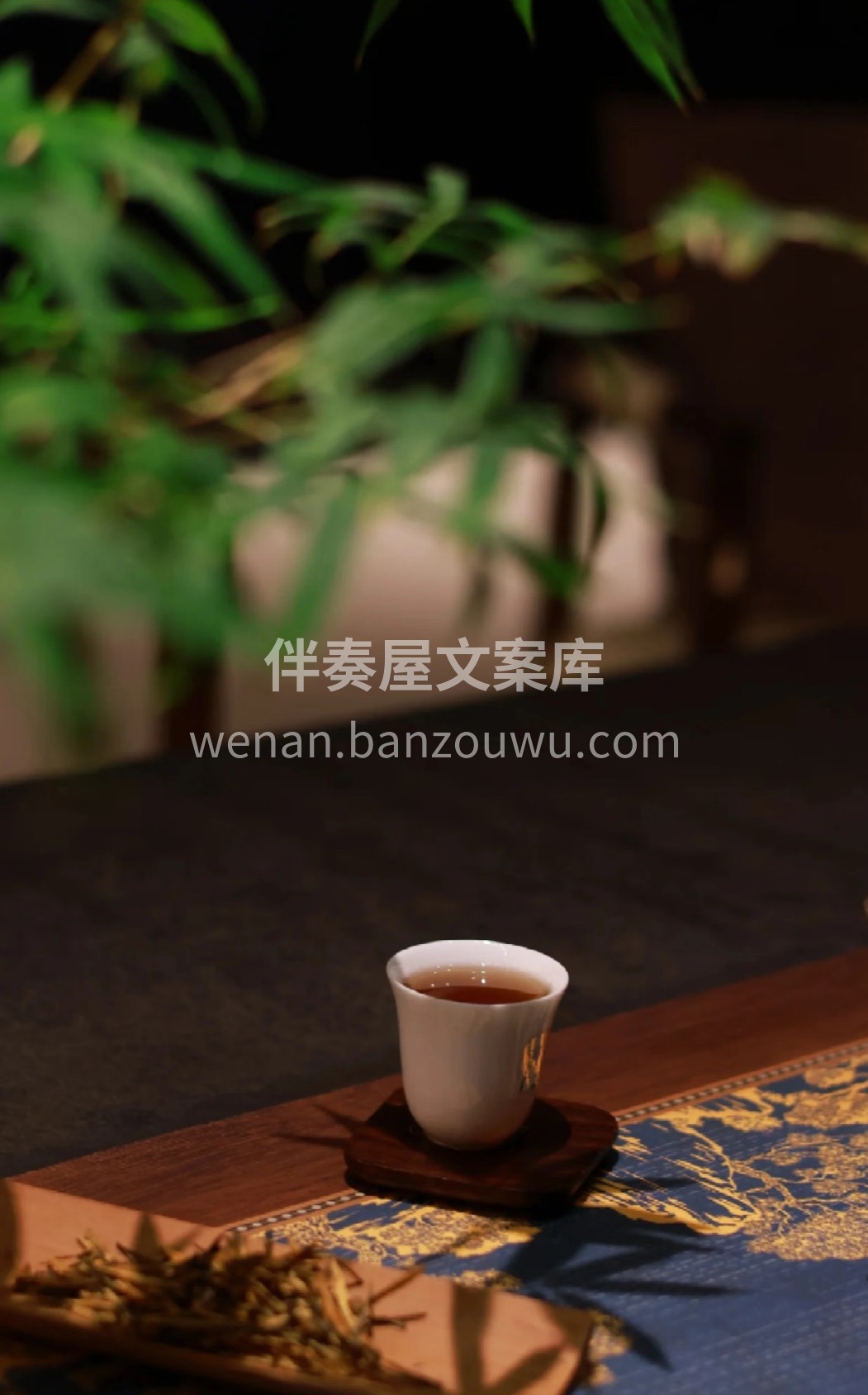 一盏祁红，揉碎了春日黄山的云雾。条索紧细 配图3