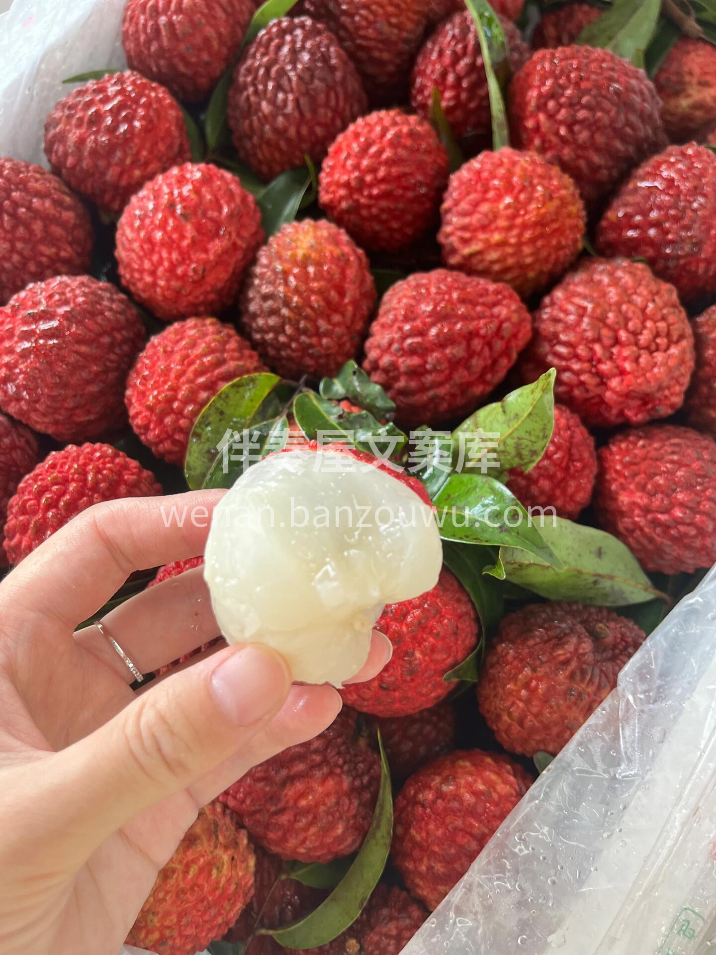 【荔枝王】 比普通荔枝大2倍，甜度也更好 配图1