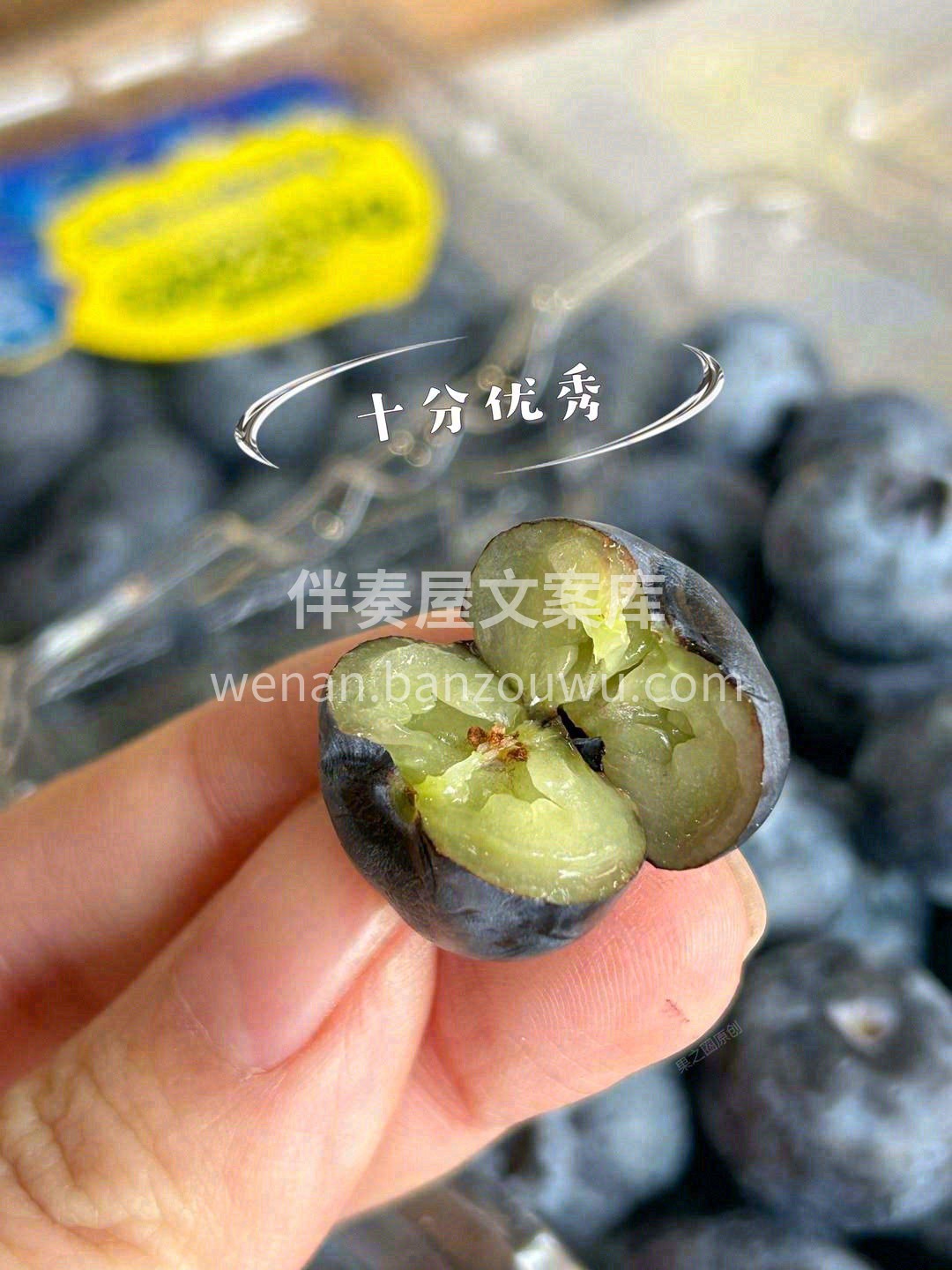云南怡颗莓限量款就是我心中的蓝莓No.1 配图2