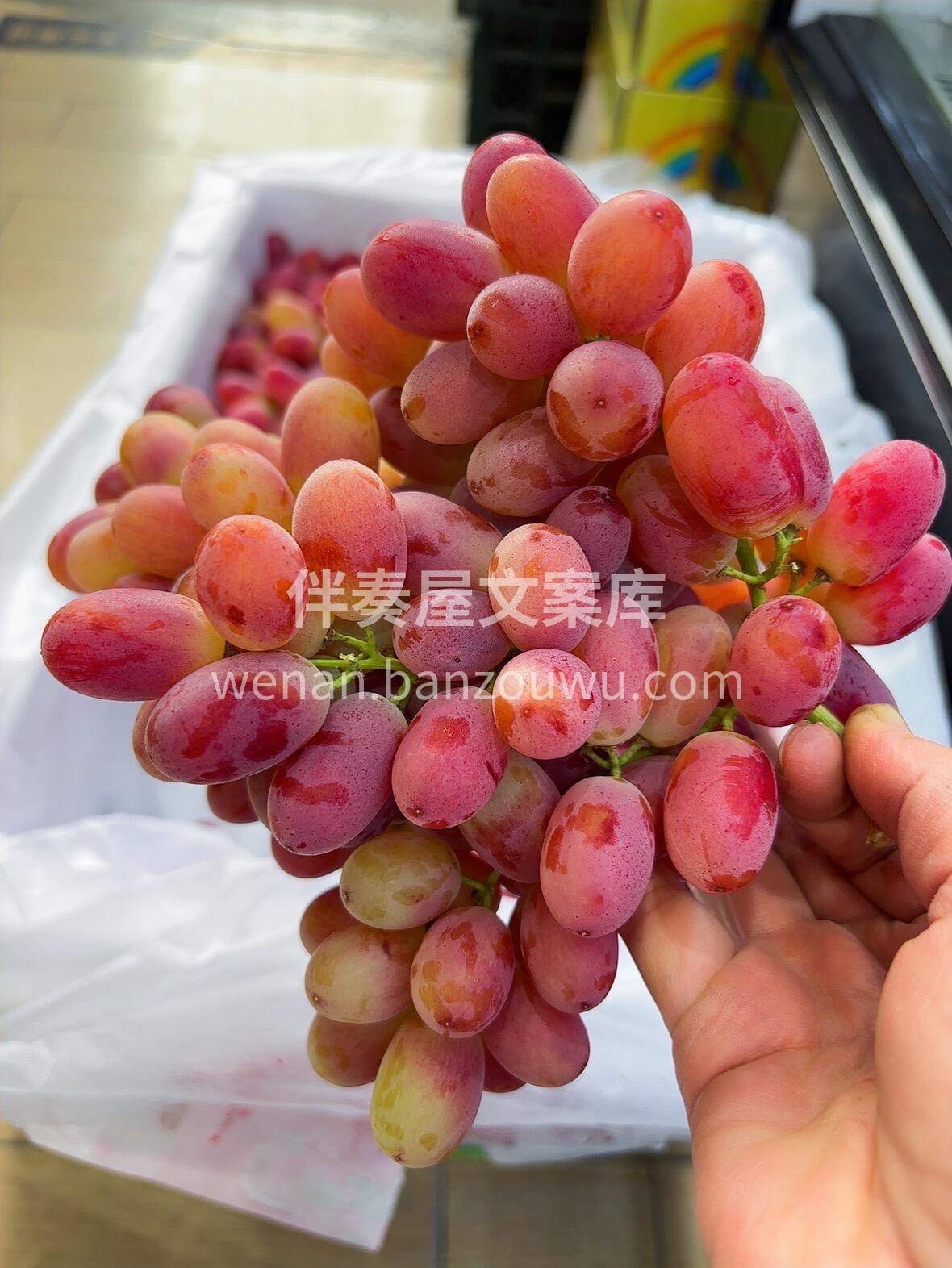 脆甜无籽提🍇 克伦生无籽红提🍇巨新鲜🍃， 配图1