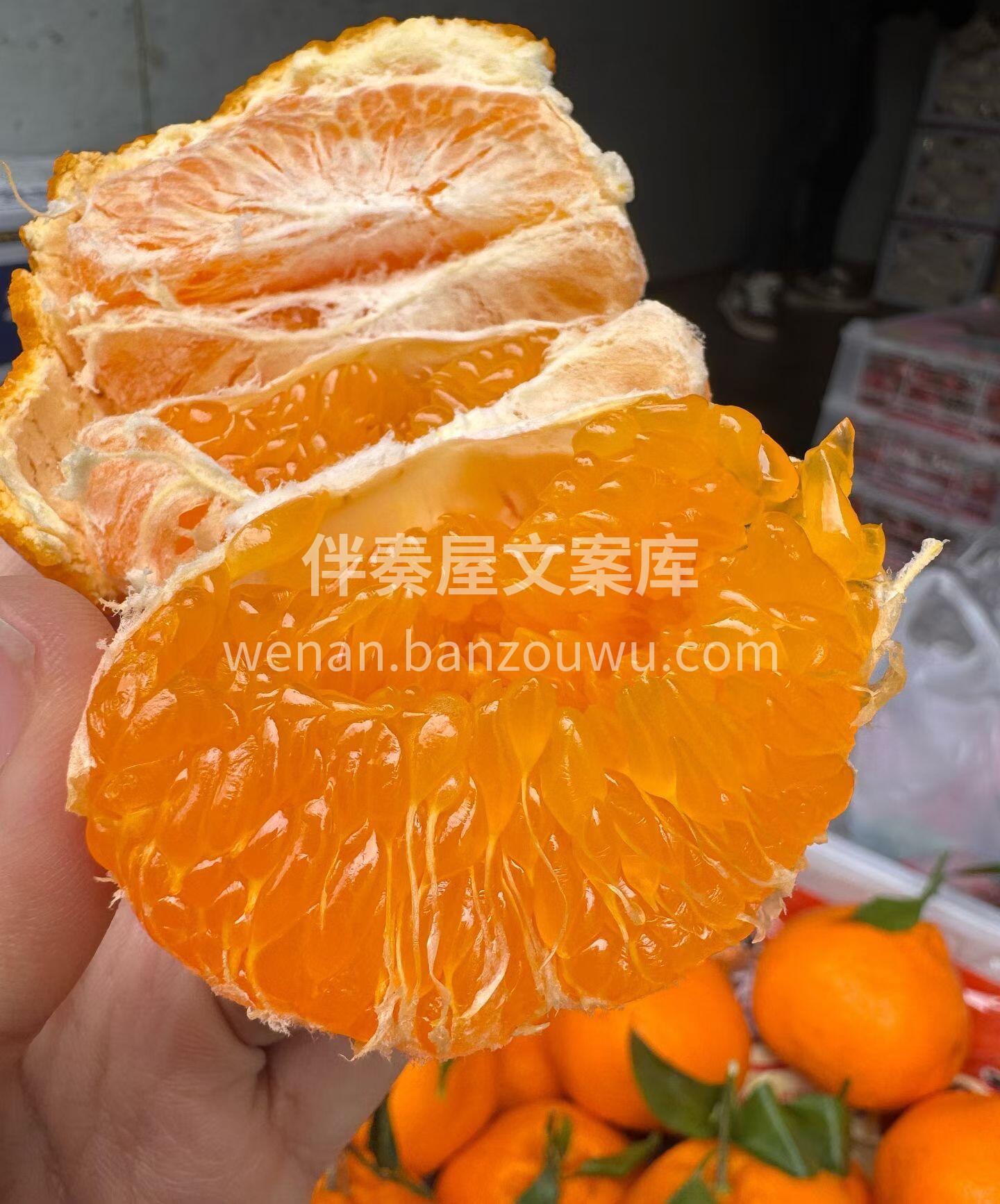 好评爆棚🔥春见耙耙柑🍊 “新鲜好吃，一口 配图2