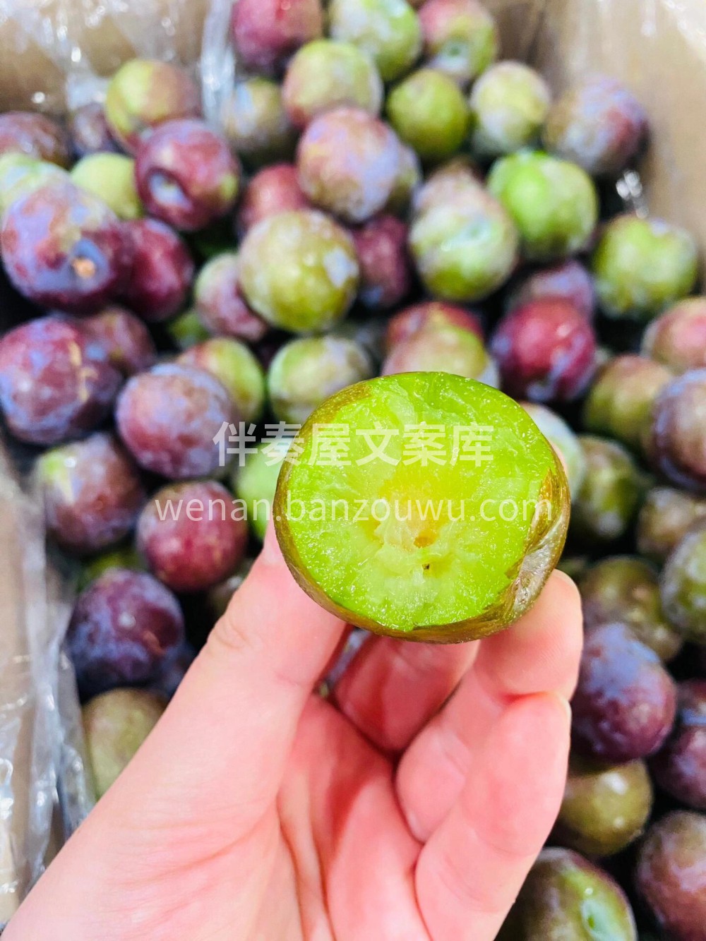 🍃🍃脆李新鲜上市‼️ 肉质细腻口感脆爽💦 配图1