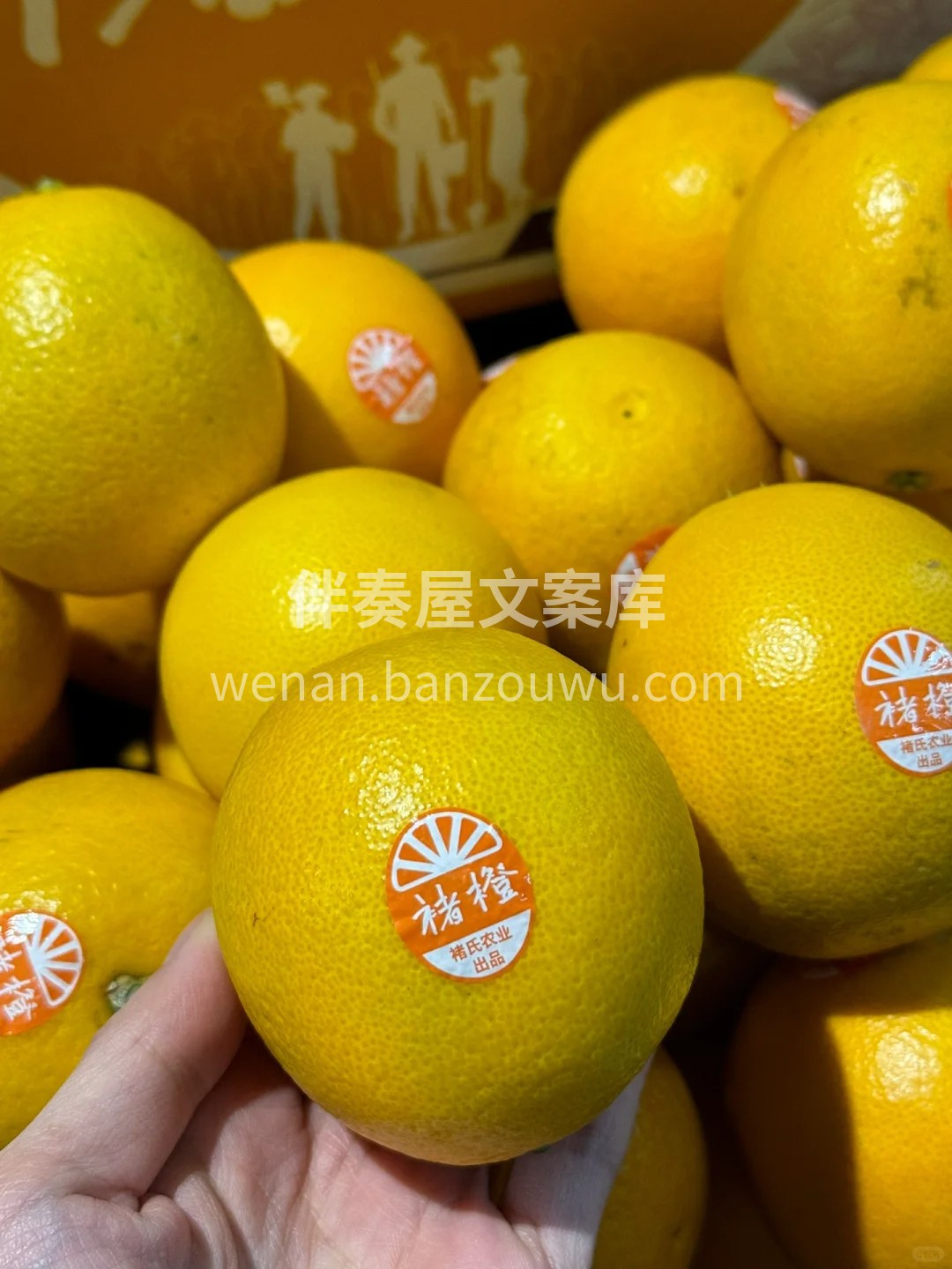🍊人生总有起落 精神终可传承 🍊这是褚橙 配图3