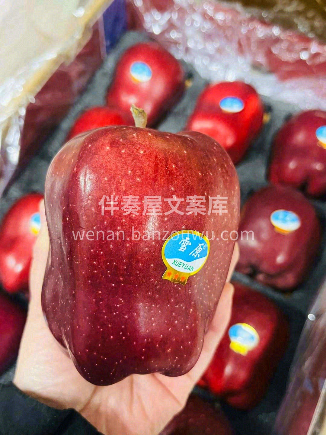 🍎这款纯正中国红，颜值爆表，还自带香水味 配图1