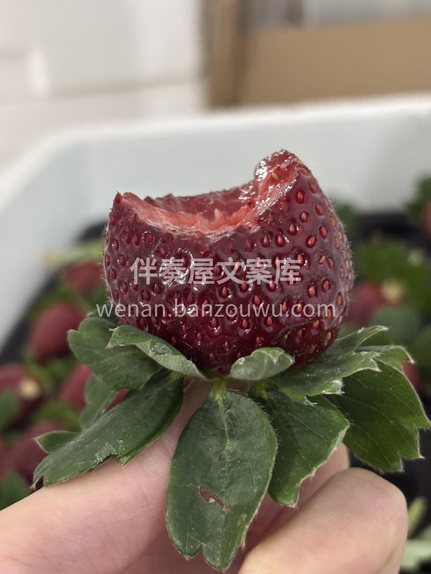 今日限定“黑草莓”🍓 外表是高冷的深绯色 配图1
