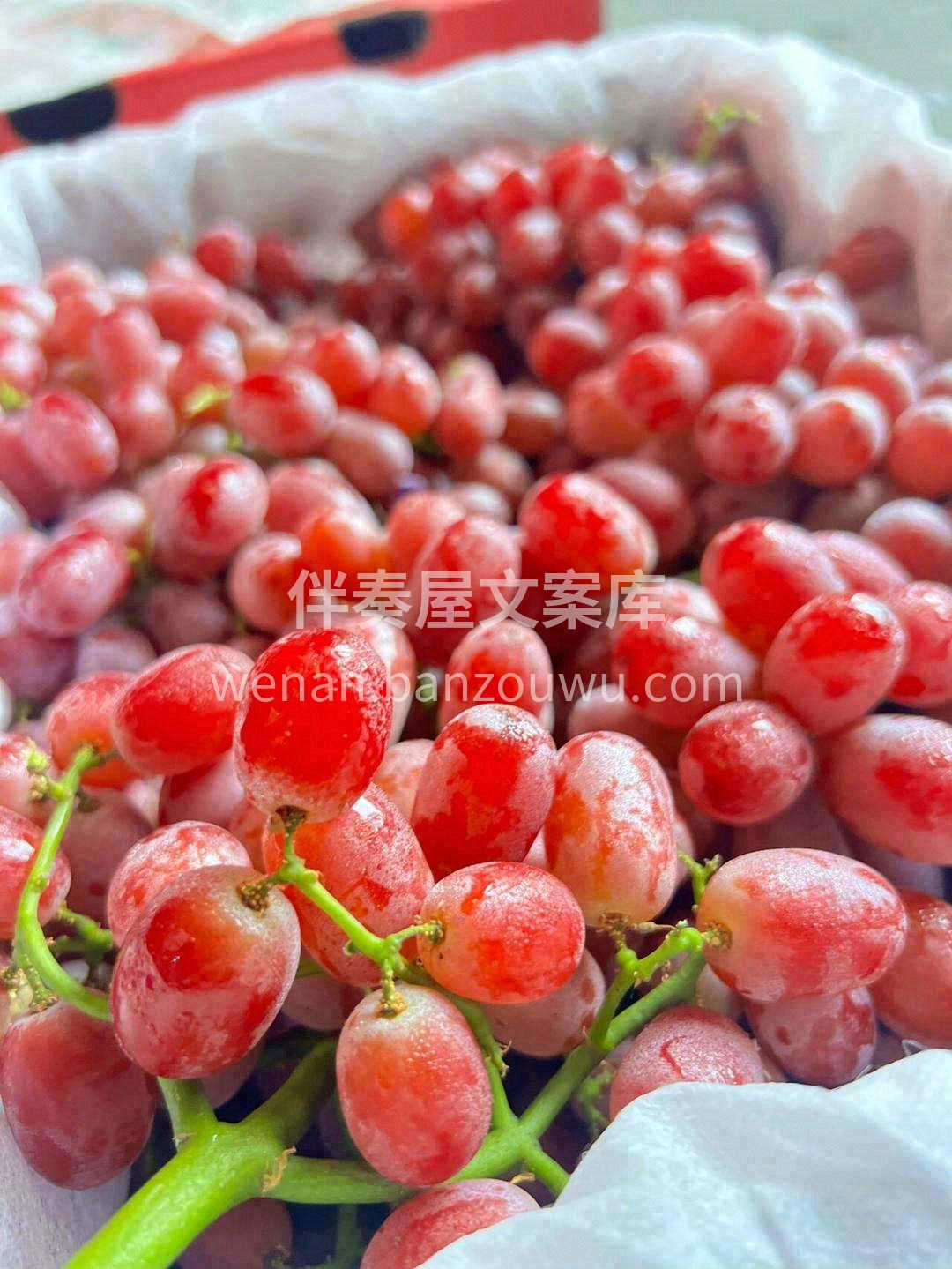 有点过分优秀的无籽红提🍇 想自己全部霸占 配图2