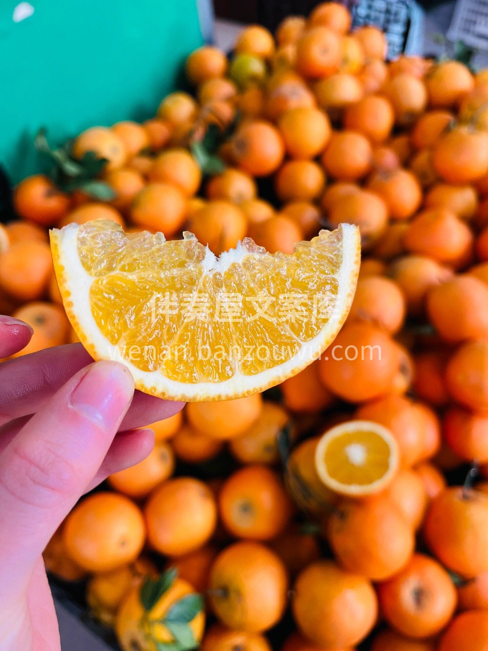 平价又好吃的橙子🍊赣南脐橙🍊、尝鲜正当季 配图1