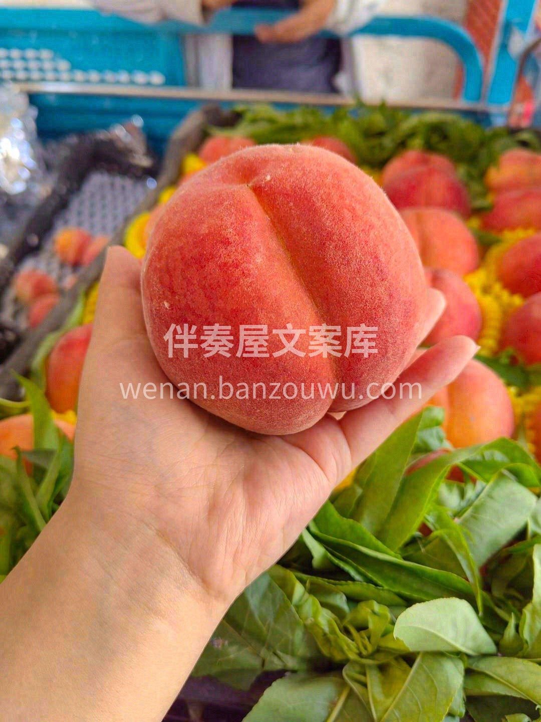 软硬两吃的大红桃🍑 鲜吃脆甜，🌷适当放一 配图1