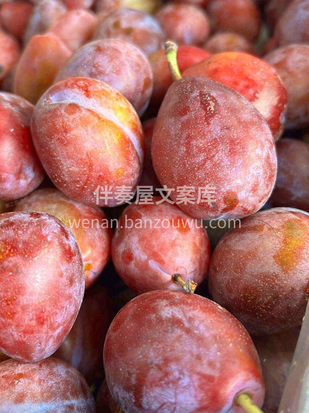 ❤️最爱西梅，这种吃了能减肥的水果👍，女 配图3