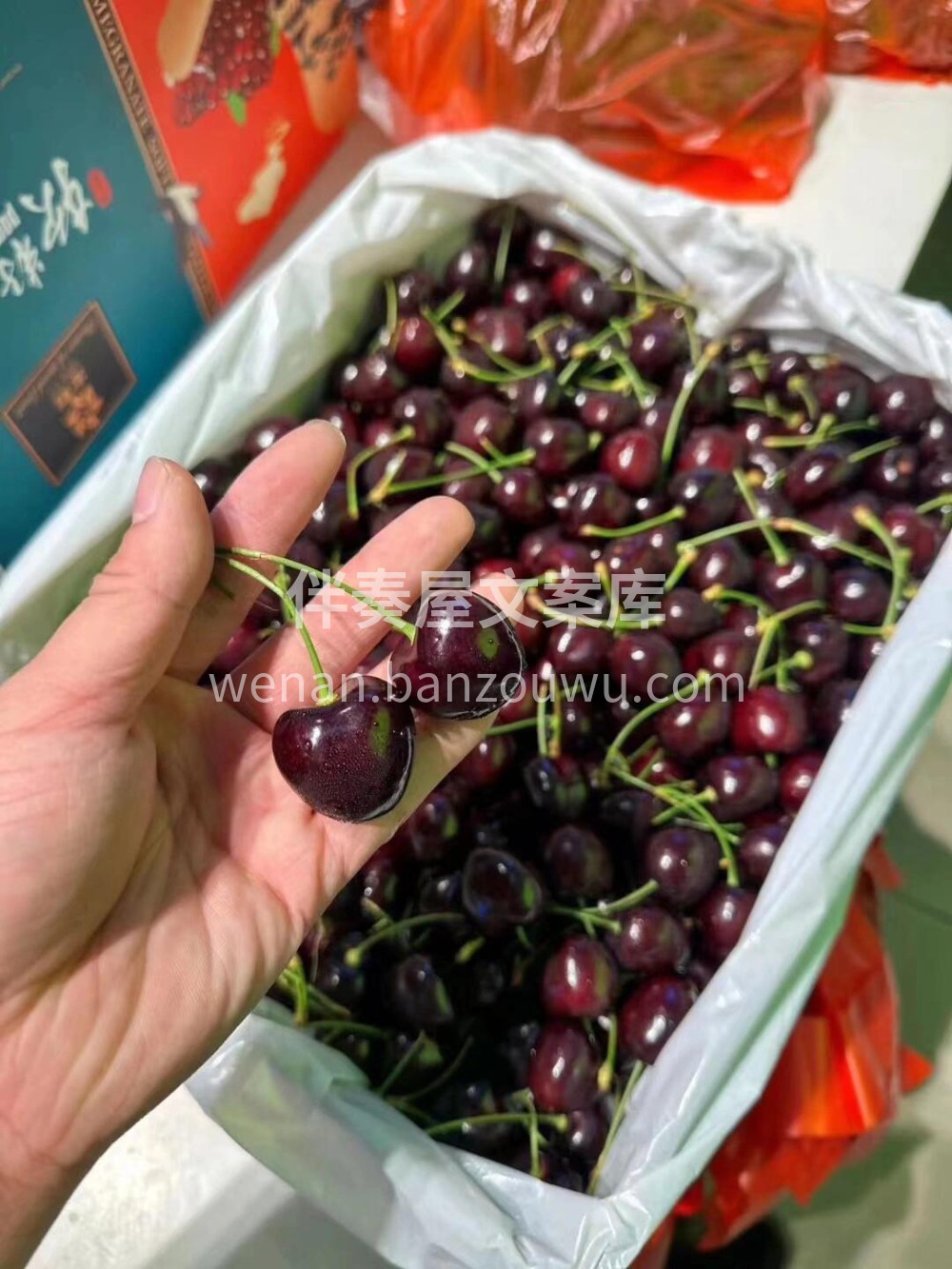💕这个季节最难拒绝的车厘子🍒进口黑车，黑 配图1