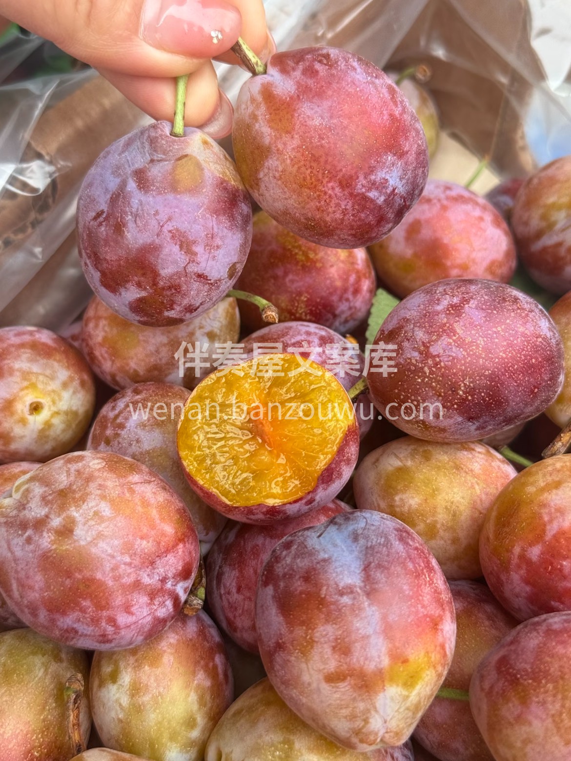 🌻新鲜西梅上架啦‼️ 清甜不腻的口感让人 配图1