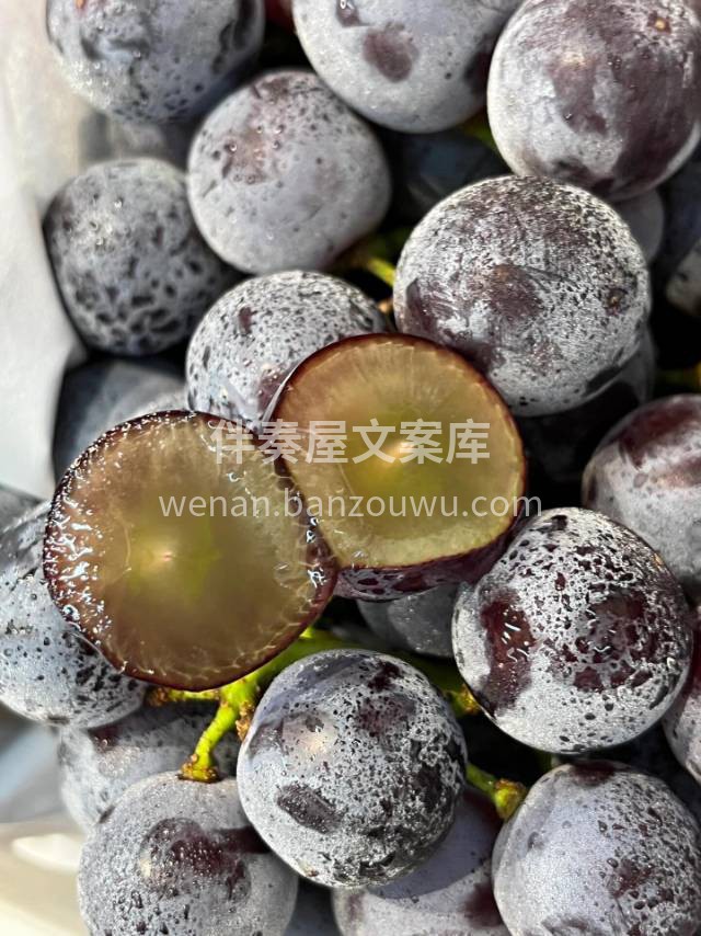又到了吃葡萄的好时节啦😍 甜度在线夏黑葡 配图1