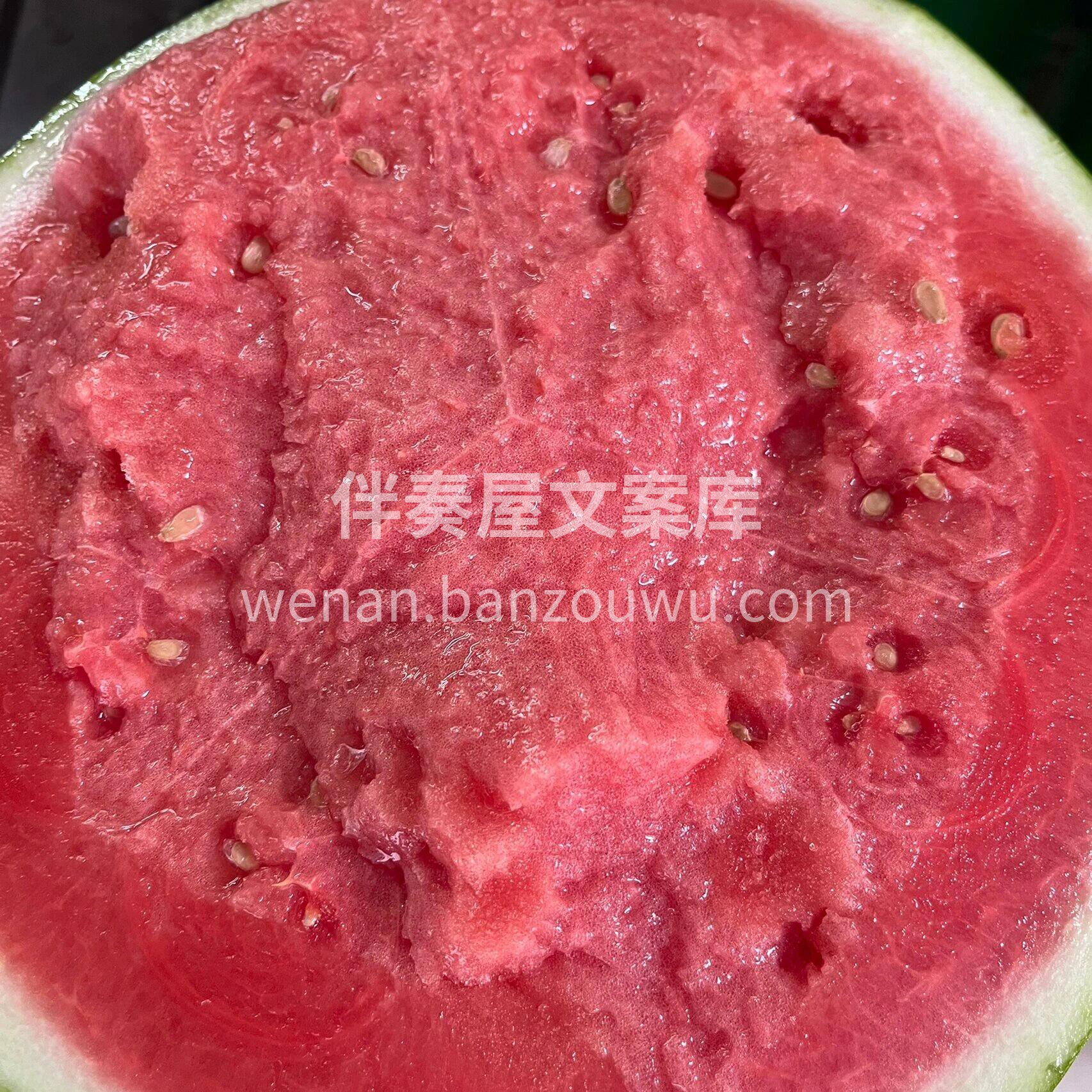 想要春天过得好👍👍，西瓜一定不能少👉 没 配图3