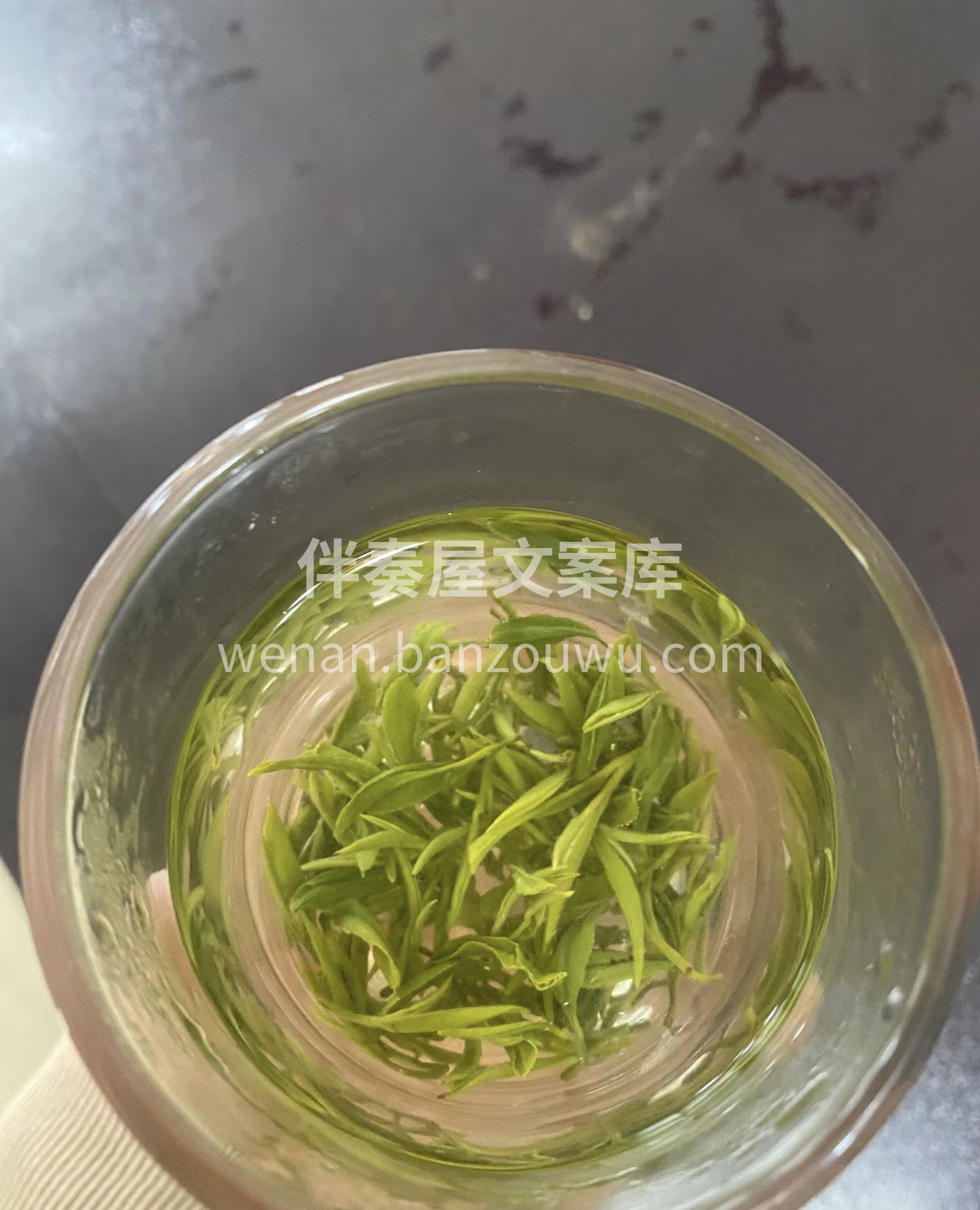 明前的碧螺春口感很好，清爽，我比较喜欢这 配图2