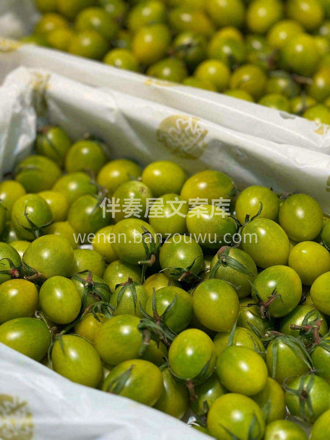 🌧️【雨季小确幸】 雨天和水果更配哦~窝 配图1