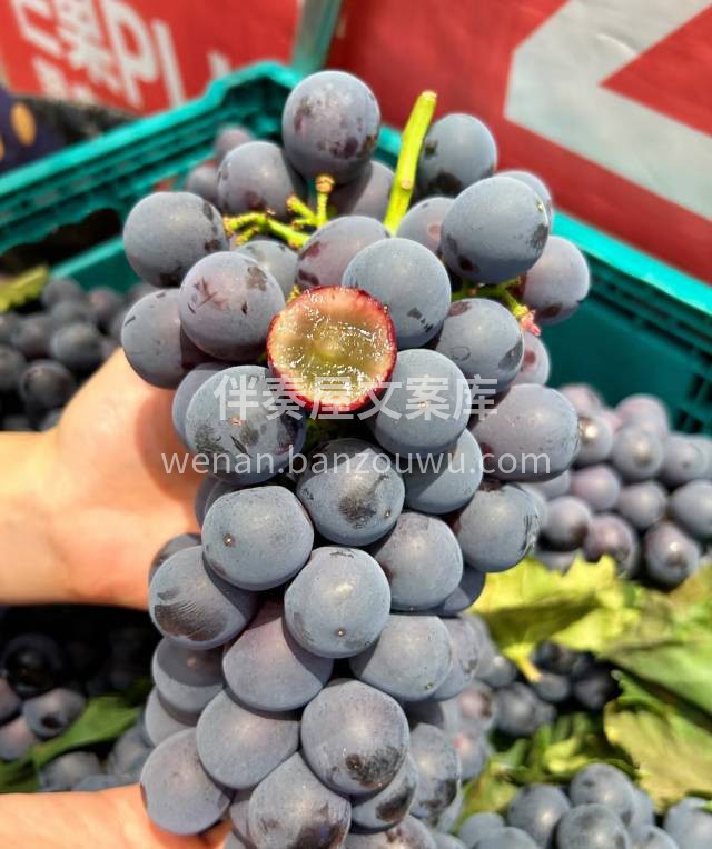 🔥卖爆了的的蓝莓葡萄到货🍇 满满的自然果 配图1