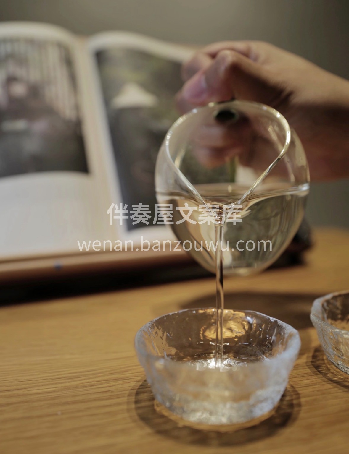 ❄️冷冬围炉煮茶，当明前龙井遇热水舒展， 配图3