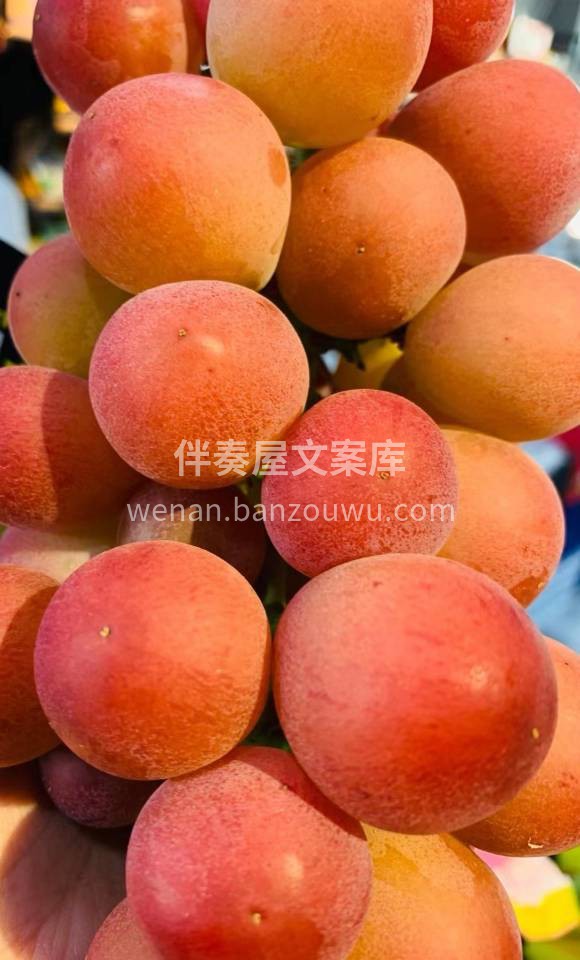 💁 新品上市，妮娜皇后🍇 梦幻口感，入口 配图3
