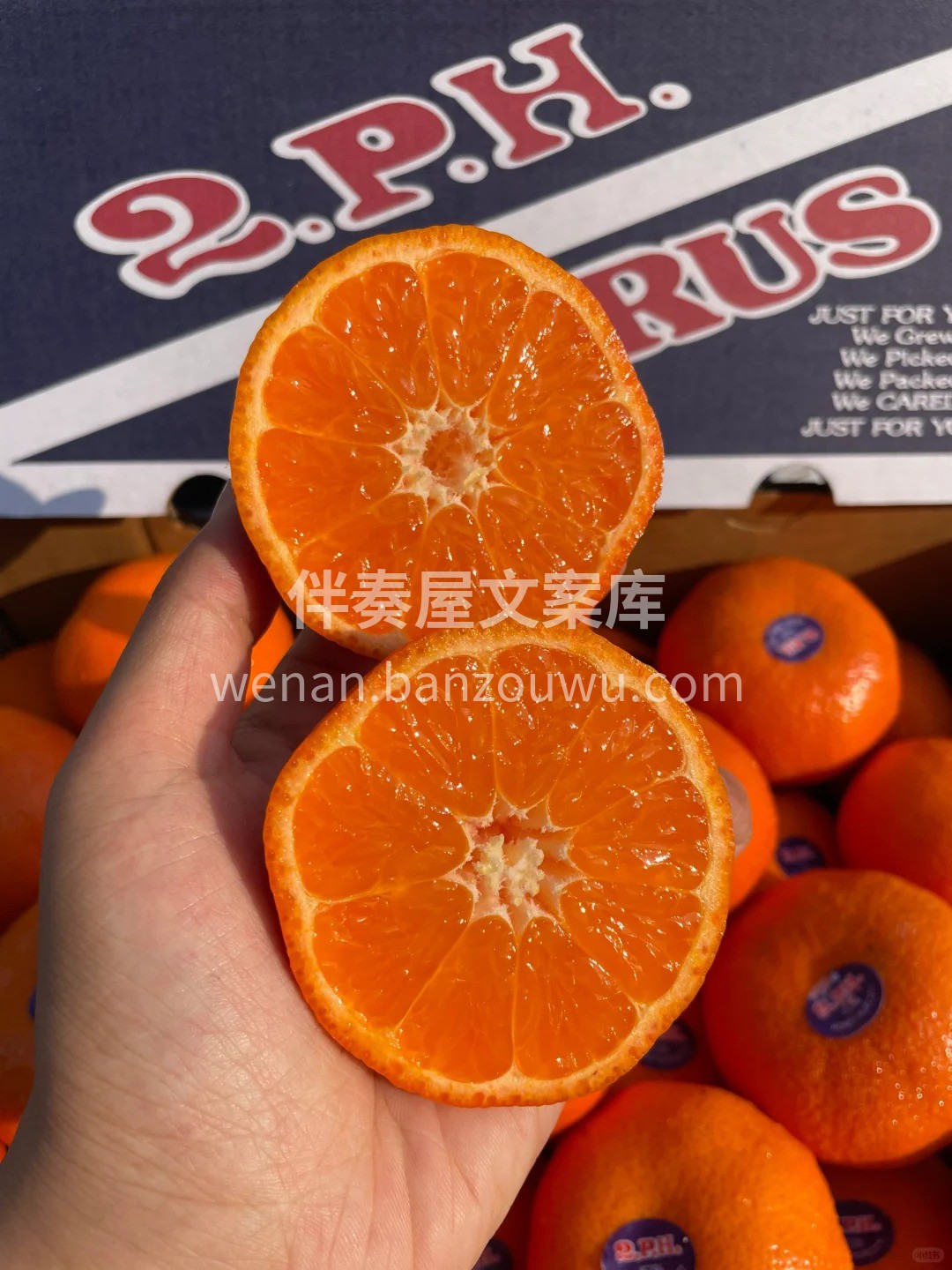 『澳洲2ph澳柑』水果芬达🍊🍊特别冷藏后 配图2