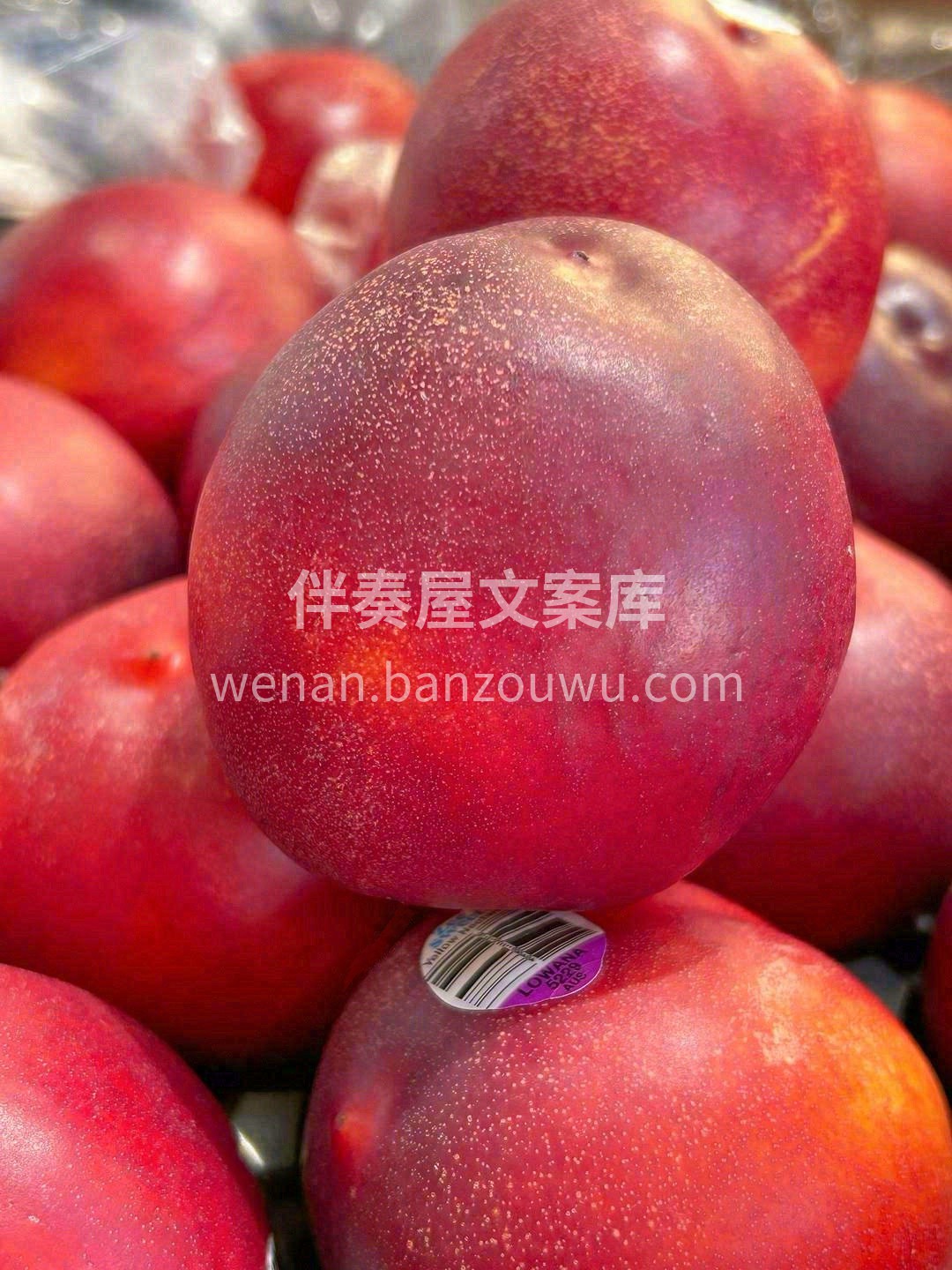 柔情的汁水🍑 清新的甜意💌 如同抵挡不住 配图1