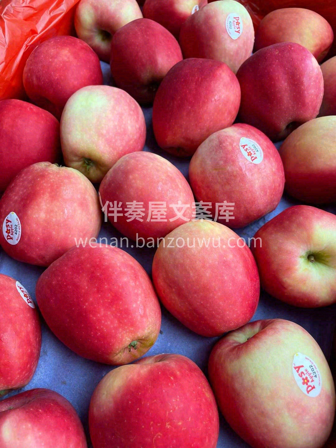 ?给大家带来一款来自大洋彼岸新西兰的?  配图2